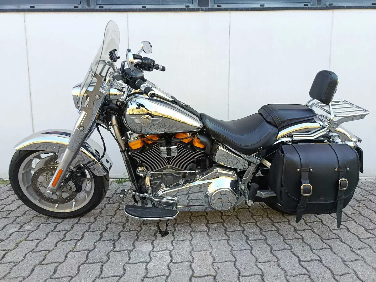 Harley-Davidson Fat Boy Gray Ghost (2025) (7)
