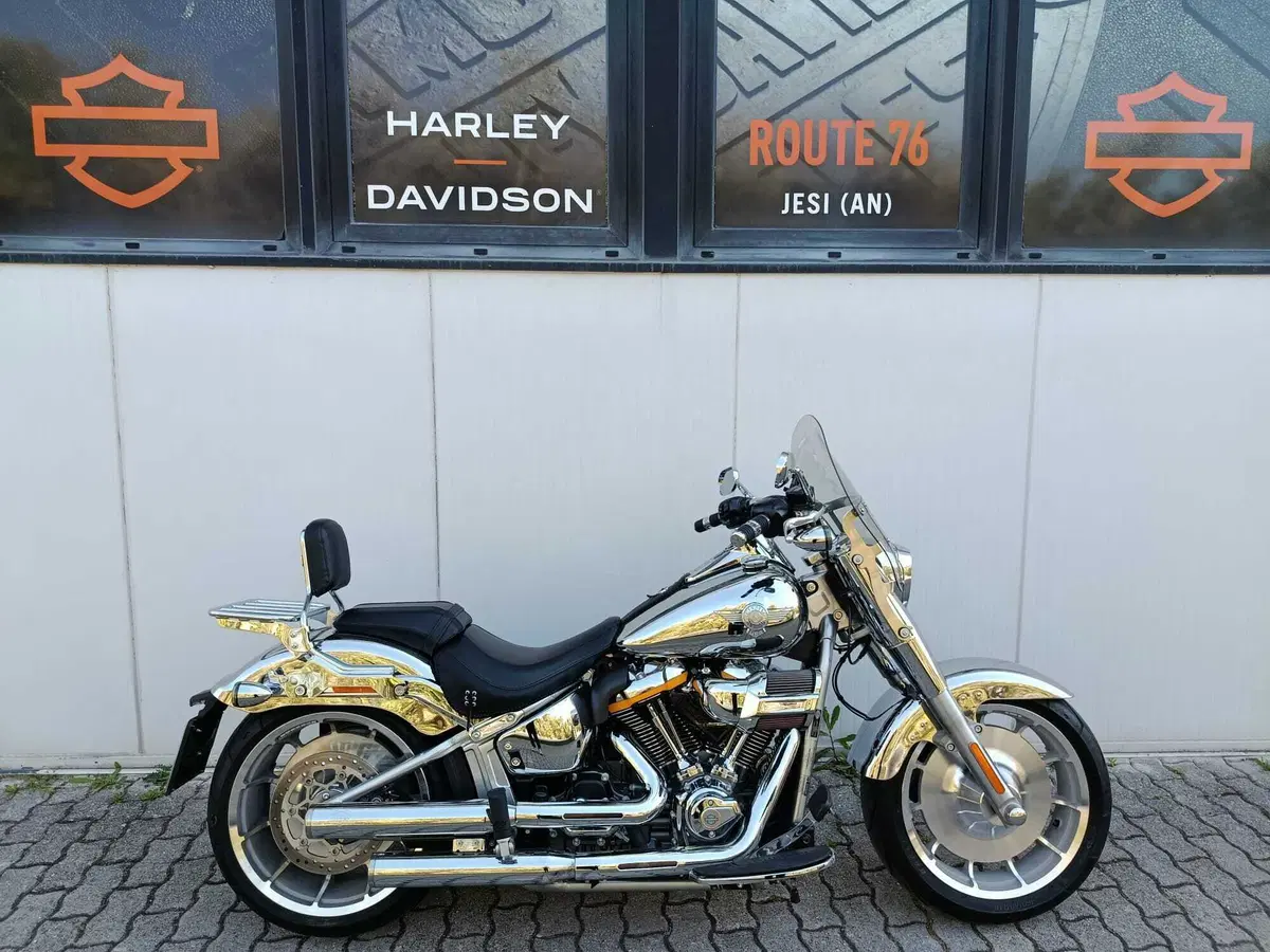 Harley-Davidson Fat Boy Gray Ghost (2025)
