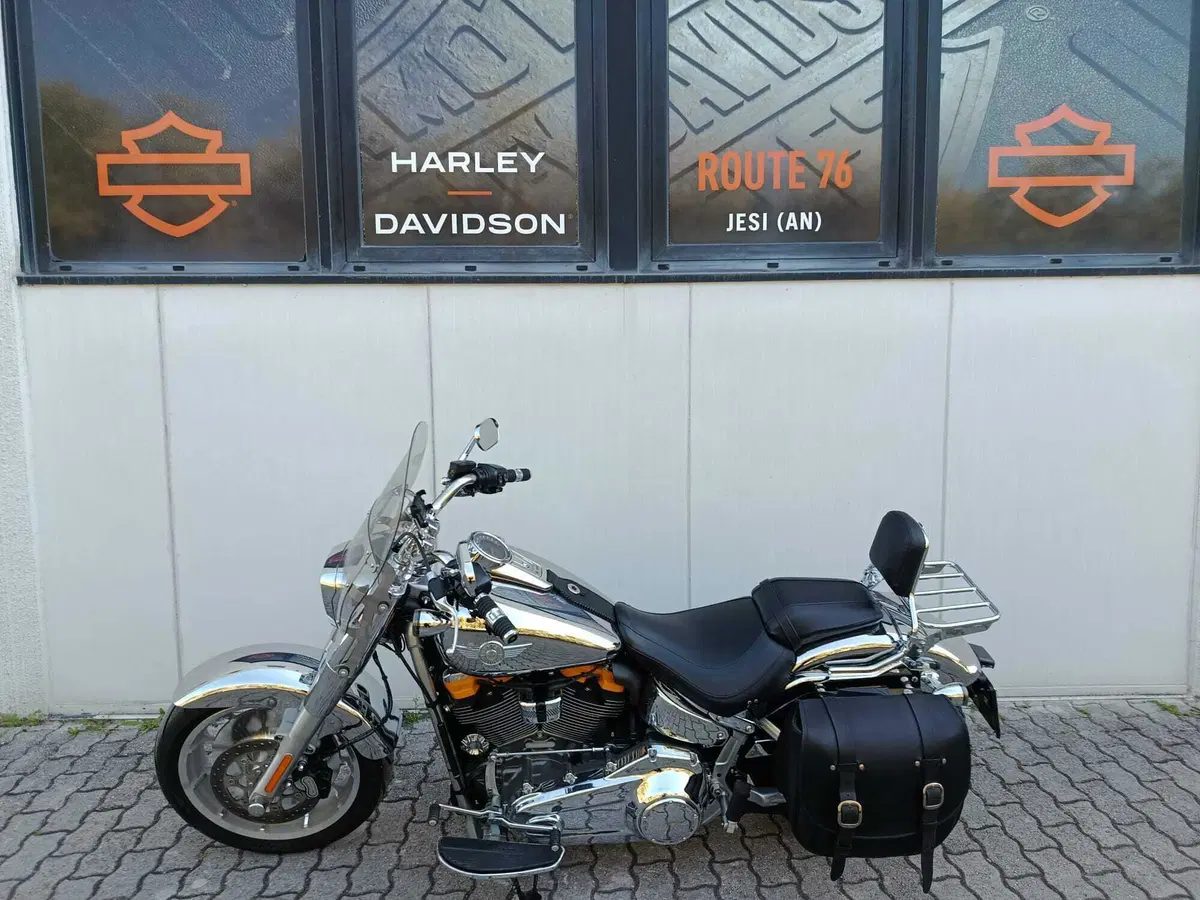 Harley-Davidson Fat Boy Gray Ghost (2025) (13)