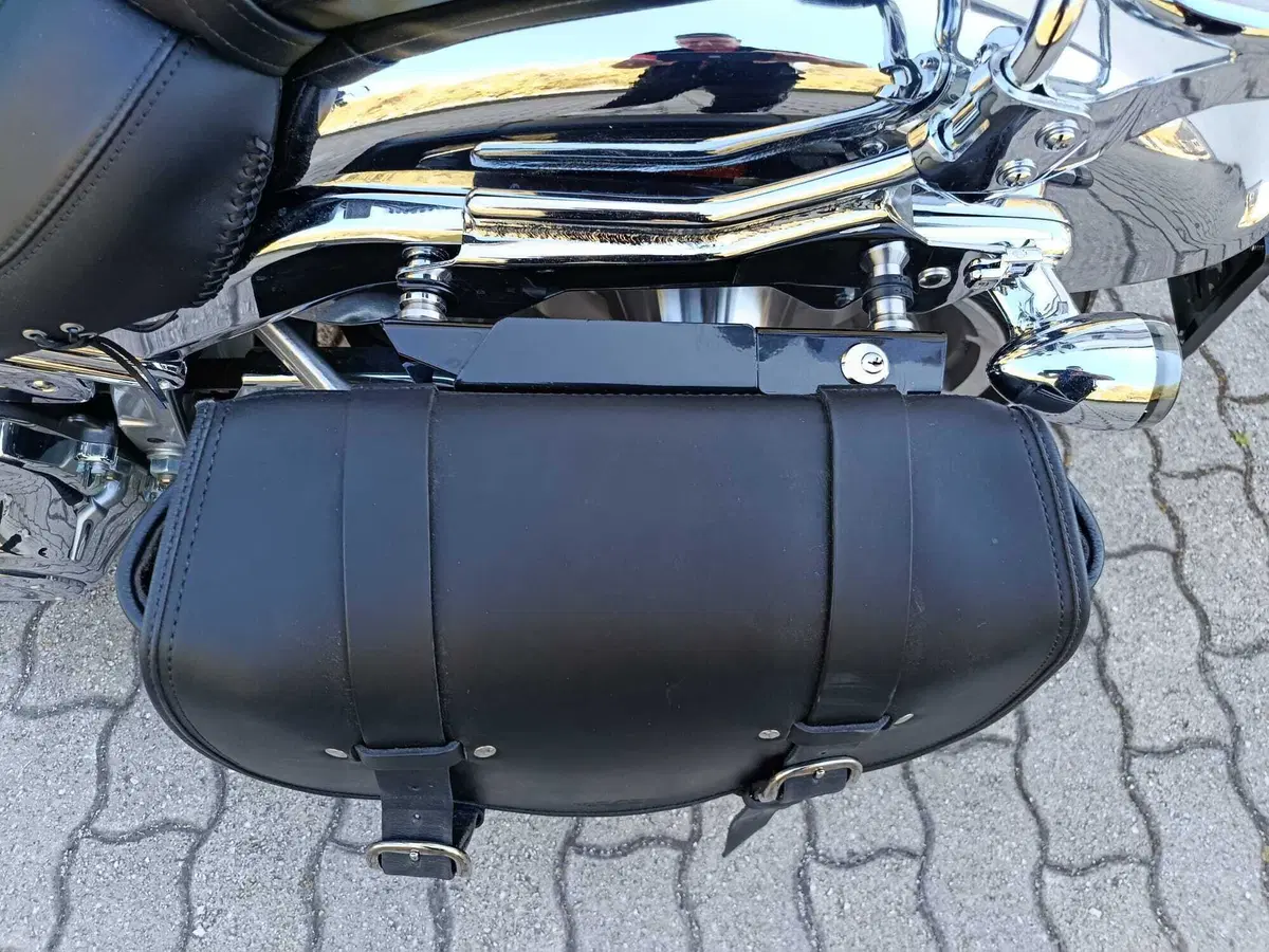 Harley-Davidson Fat Boy Gray Ghost (2025) (12)