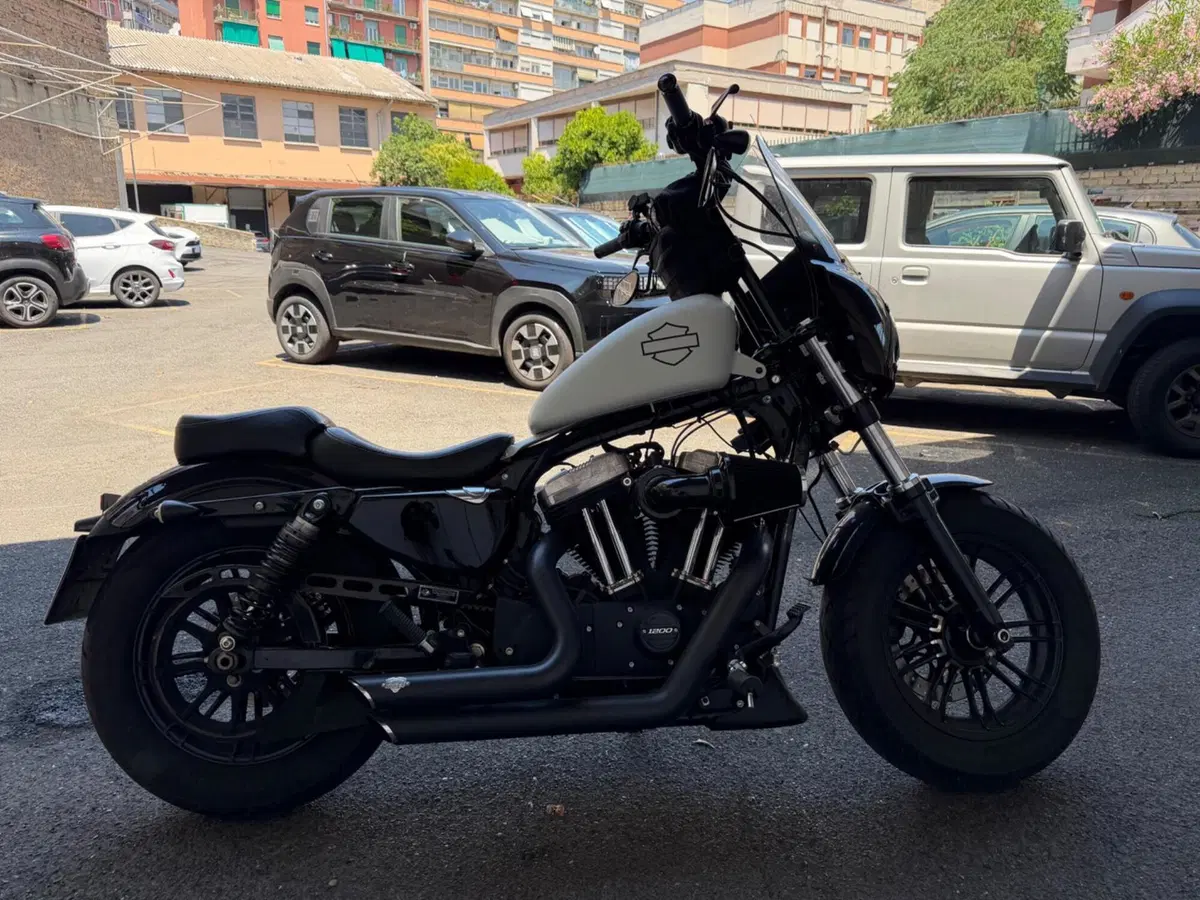 Harley-Davidson 1200 Forty-Eight (2016 - 20) (2)