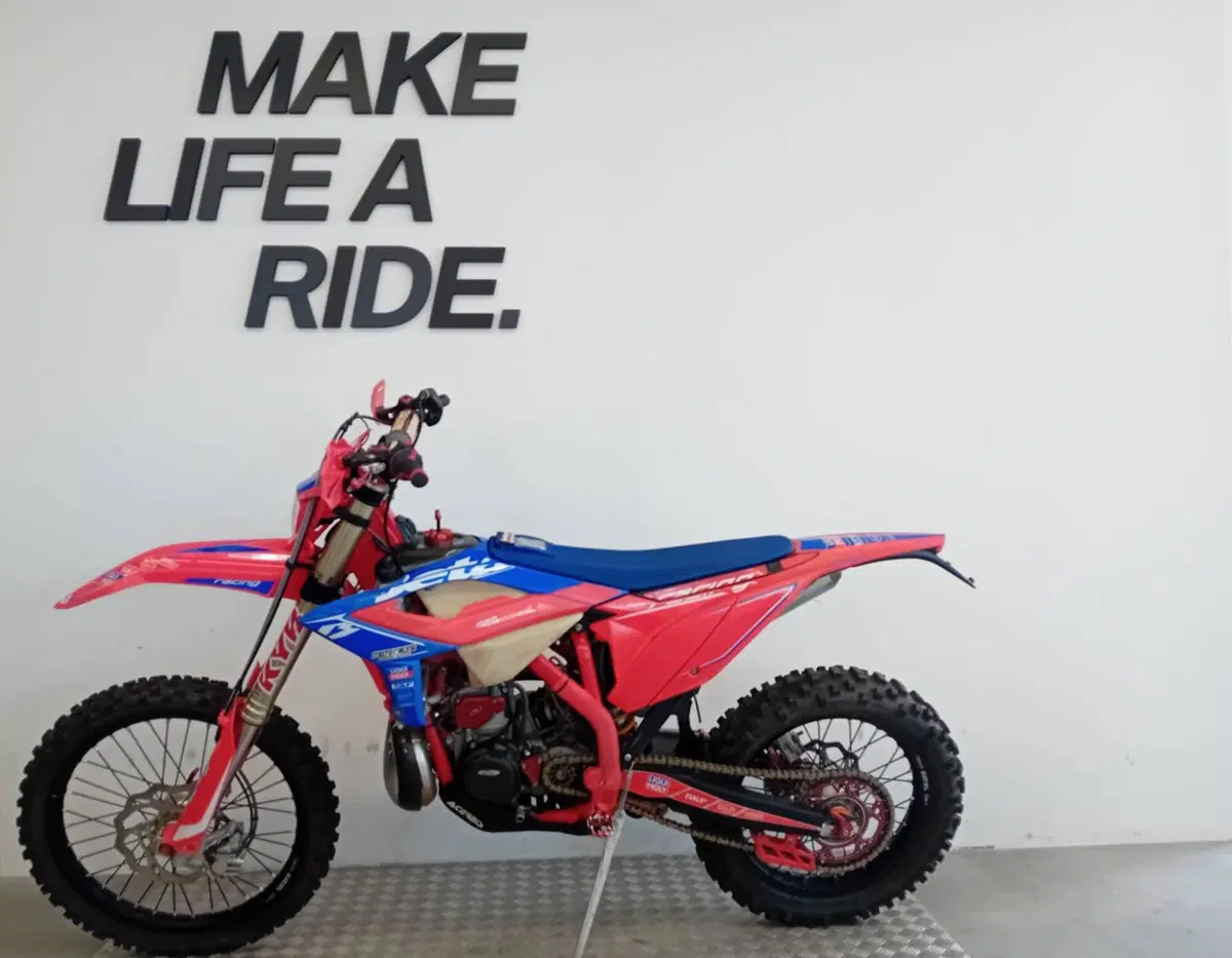 Betamotor RR 250 2T Enduro Racing (2023) (2)