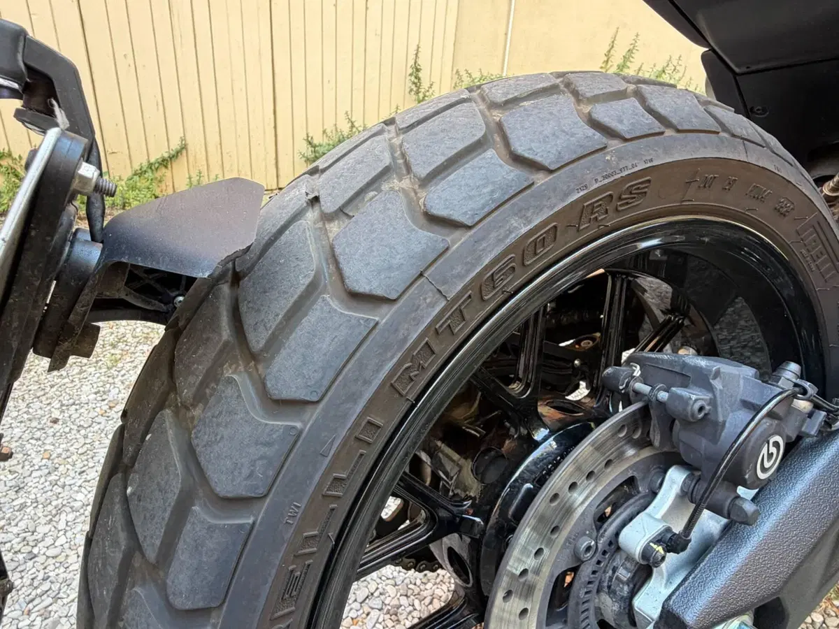 Ducati Scrambler 800 Icon Dark (2025 - 26) (10)