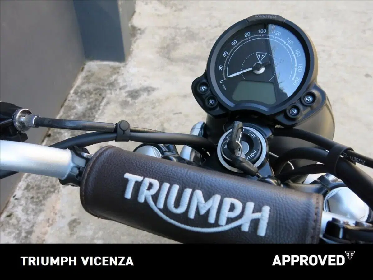 Triumph Street Scrambler 900 (2021 - 22) (3)