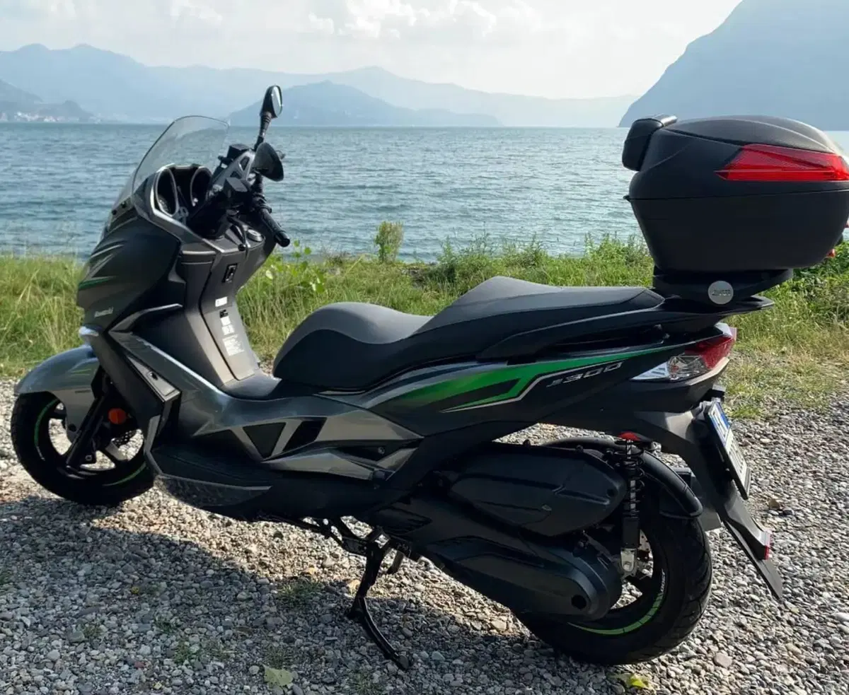 Kawasaki J 300 SE (2017 - 18) (5)