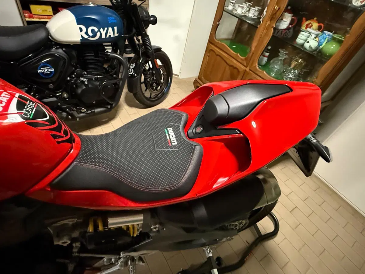 Ducati Panigale V2 (2025 - 26) (10)