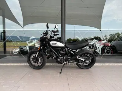 Ducati Scrambler 800 Icon (2021 - 22) usata