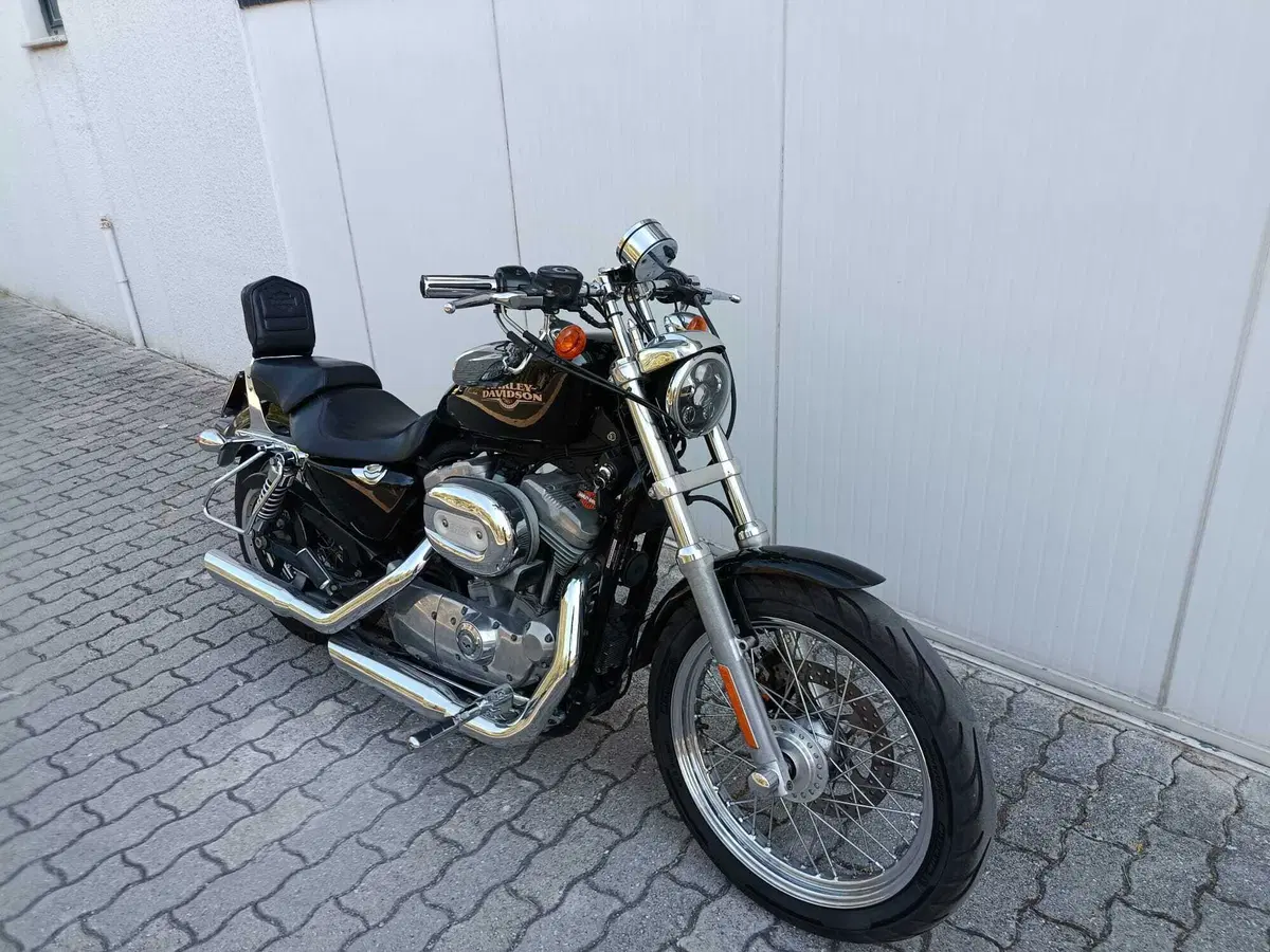 Harley-Davidson 883 Low (2008 - 12) - XL 883L (2)