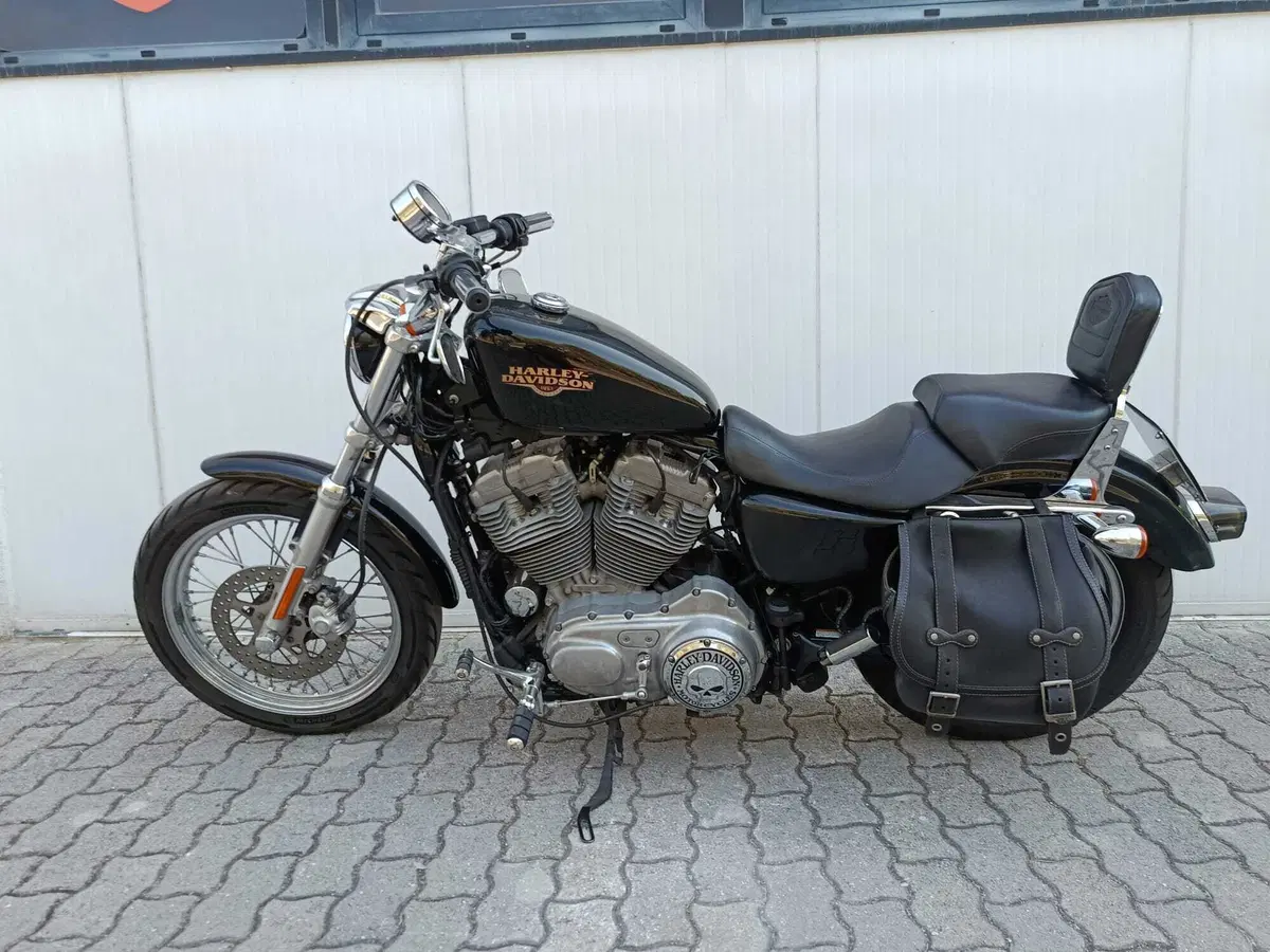 Harley-Davidson 883 Low (2008 - 12) - XL 883L (5)