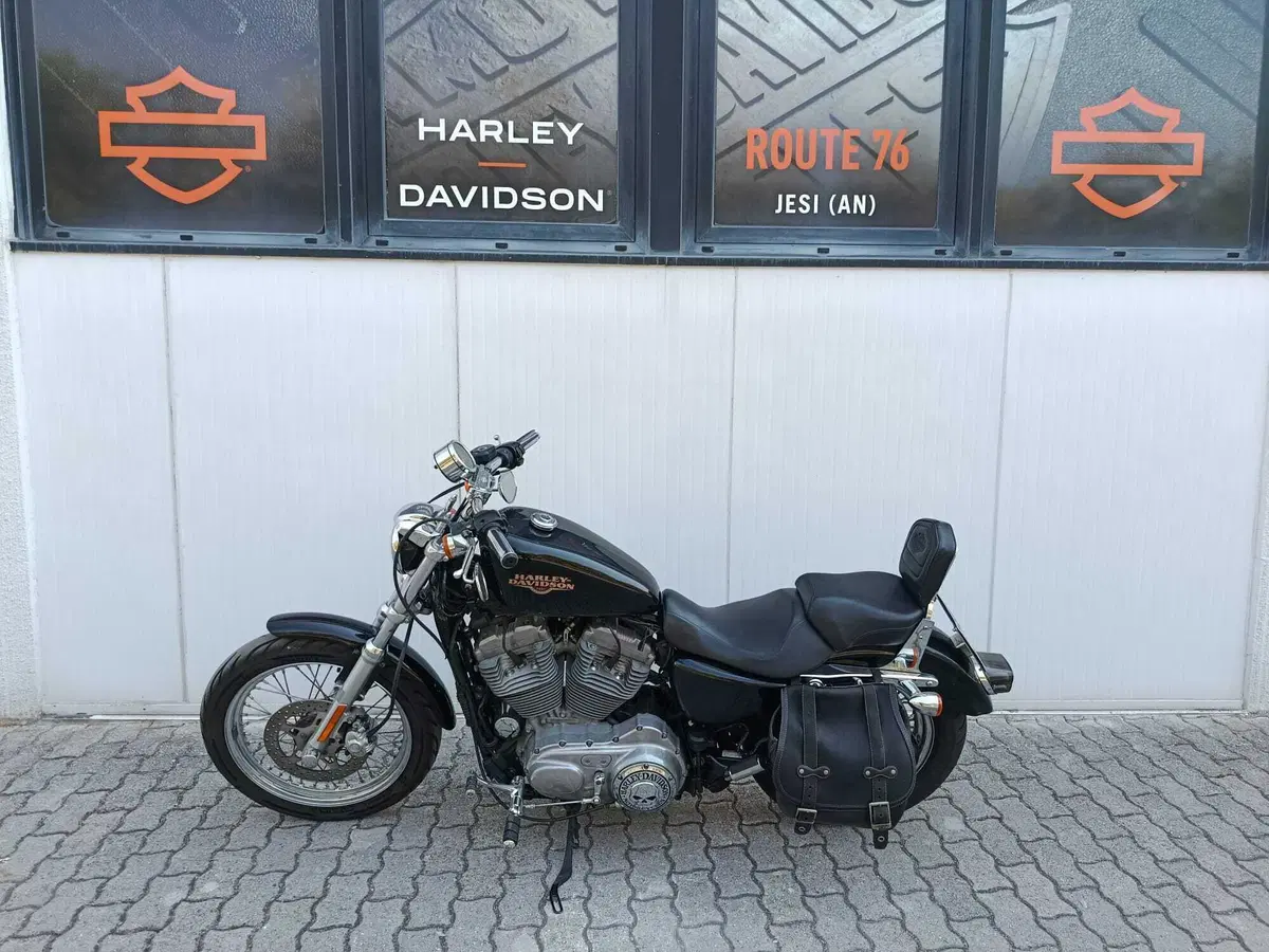 Harley-Davidson 883 Low (2008 - 12) - XL 883L (8)