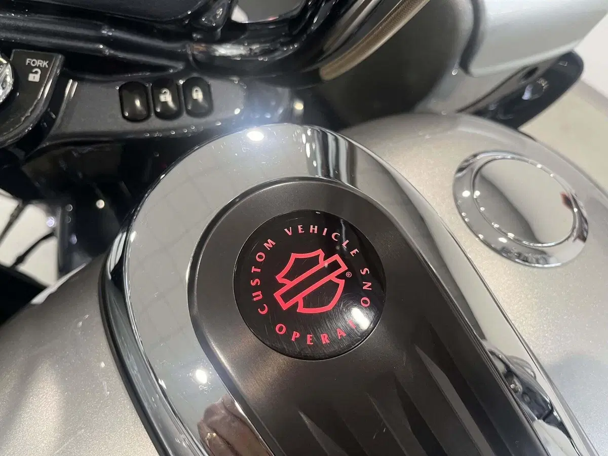 Harley-Davidson 117 Road Glide (2018 - 19) - FLTRXSE (6)