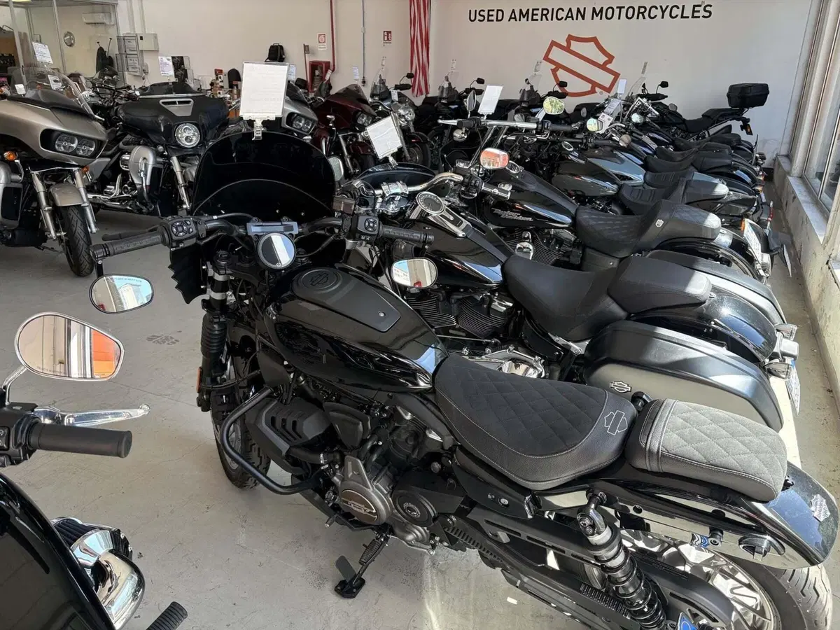 Harley-Davidson Nightster Special (2023 - 26)