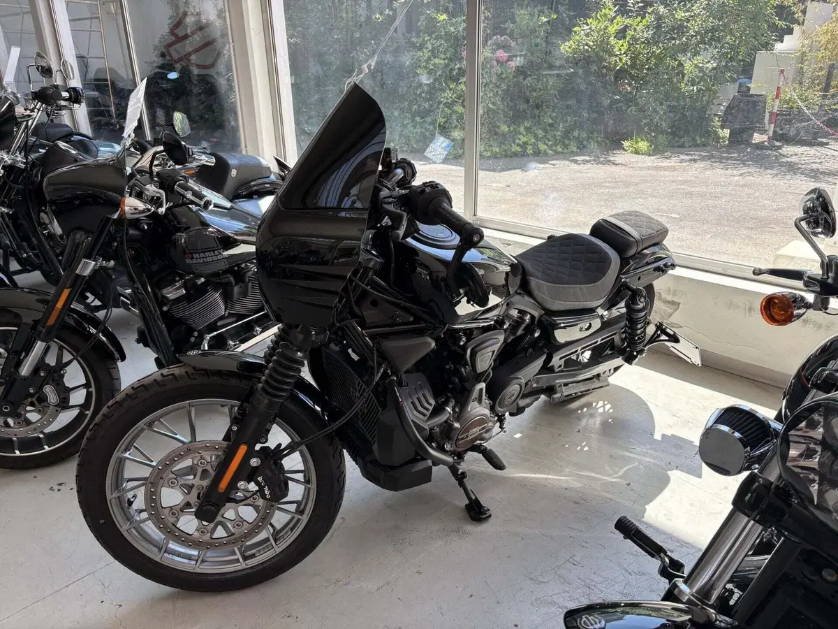 Harley-Davidson Nightster Special (2023 - 26) (2)