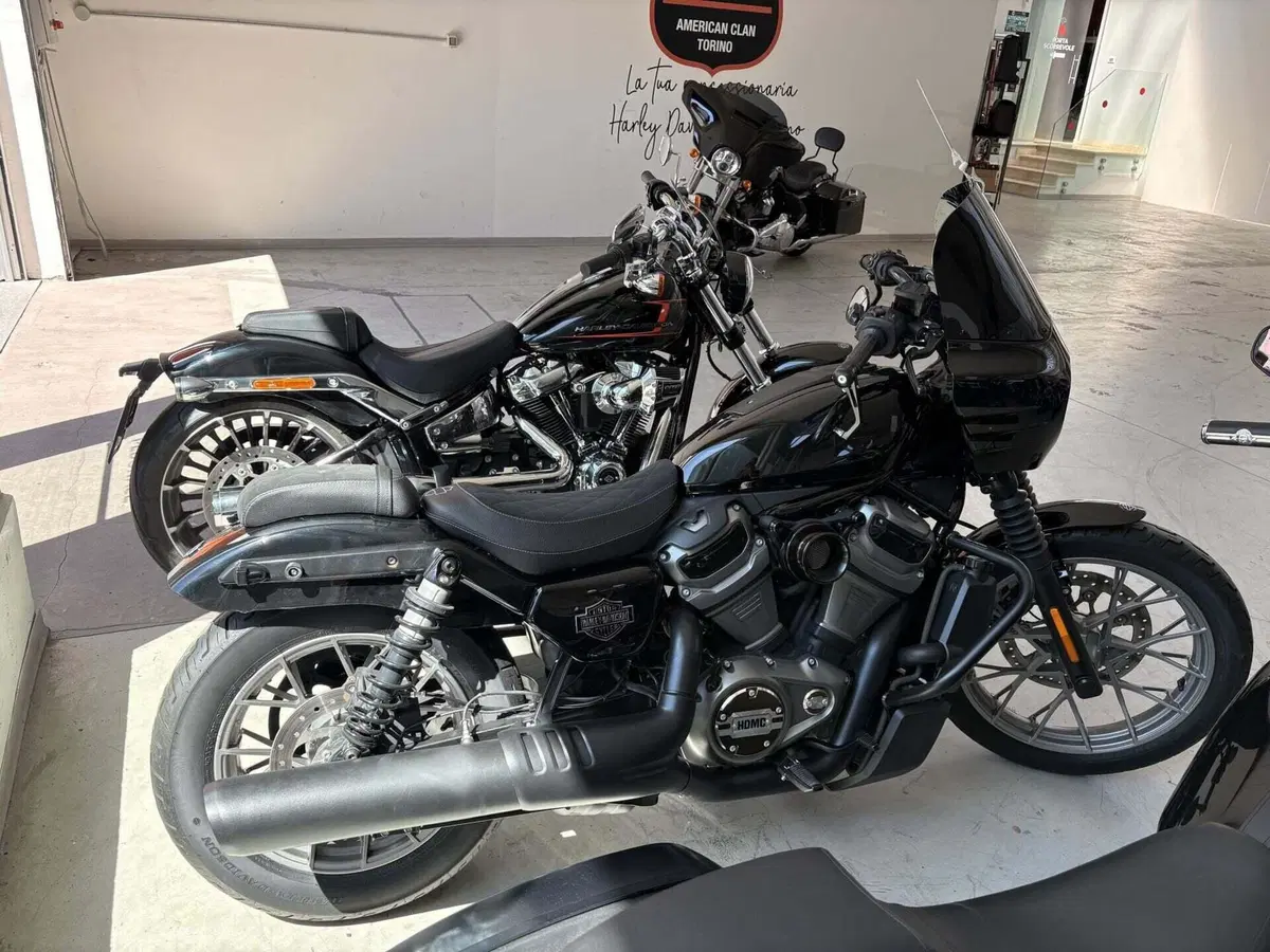Harley-Davidson Nightster Special (2023 - 26) (5)