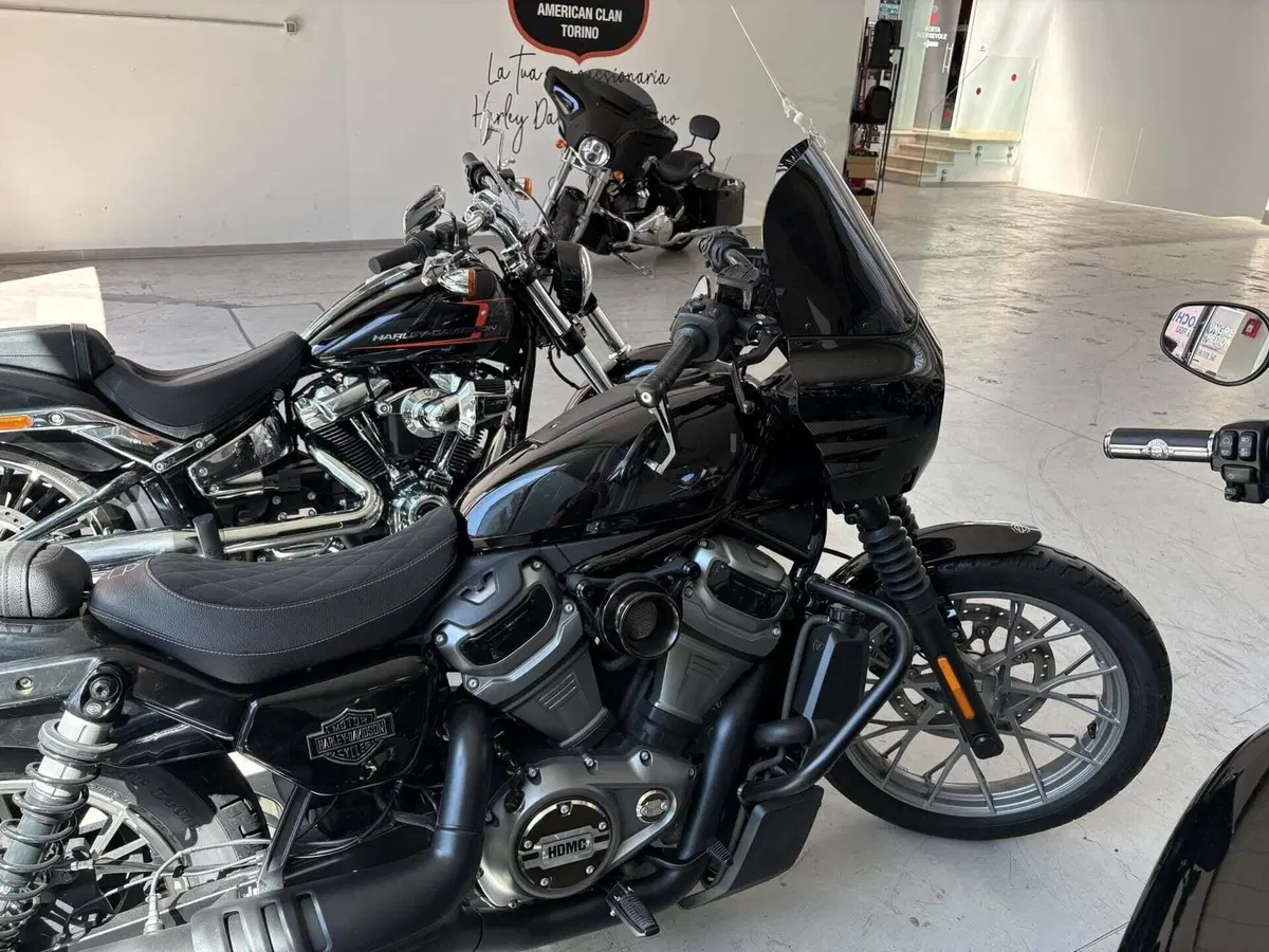 Harley-Davidson Nightster Special (2023 - 26) (6)