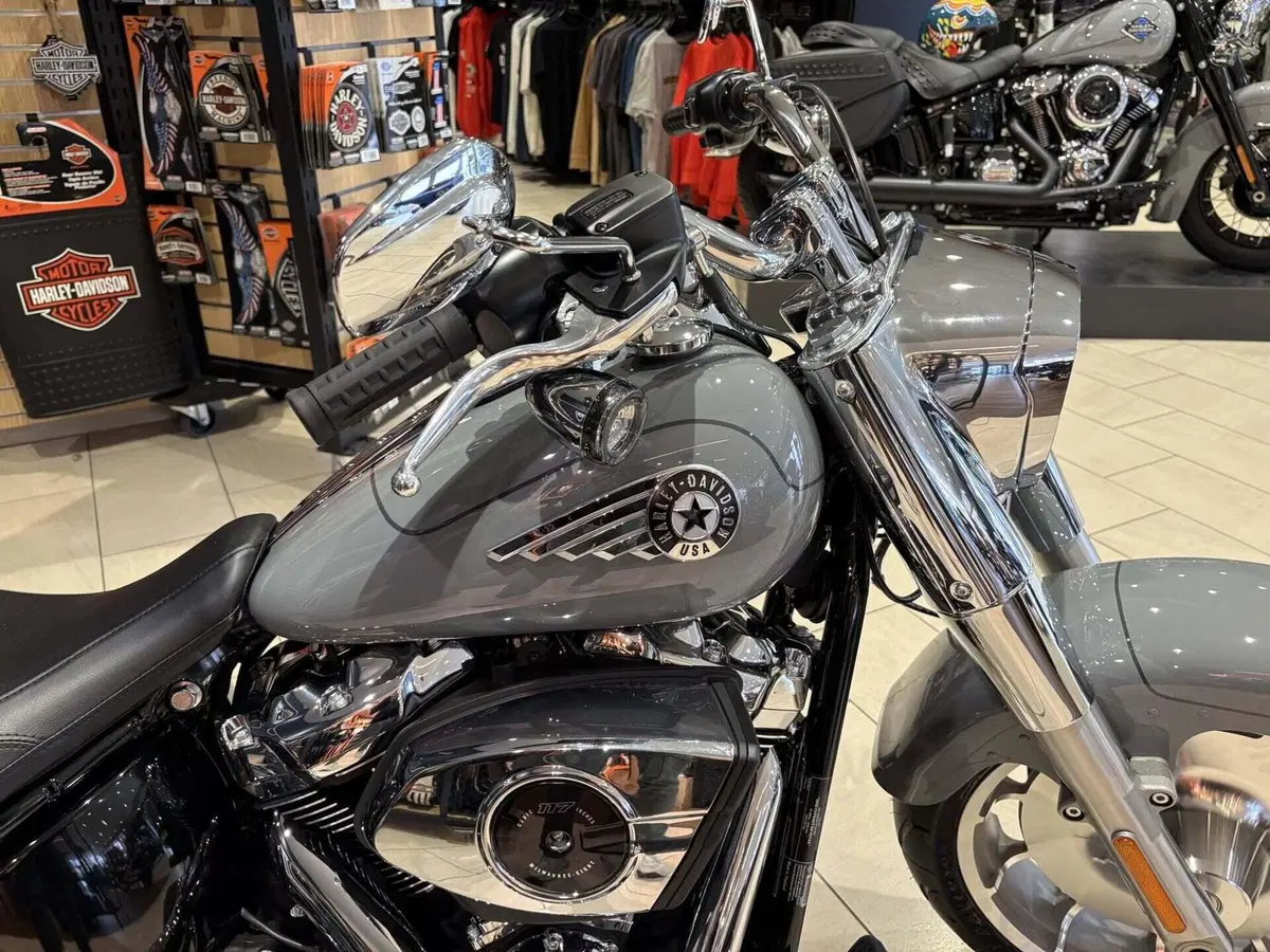 Harley-Davidson Fat Boy 117 (2025 - 26) (3)