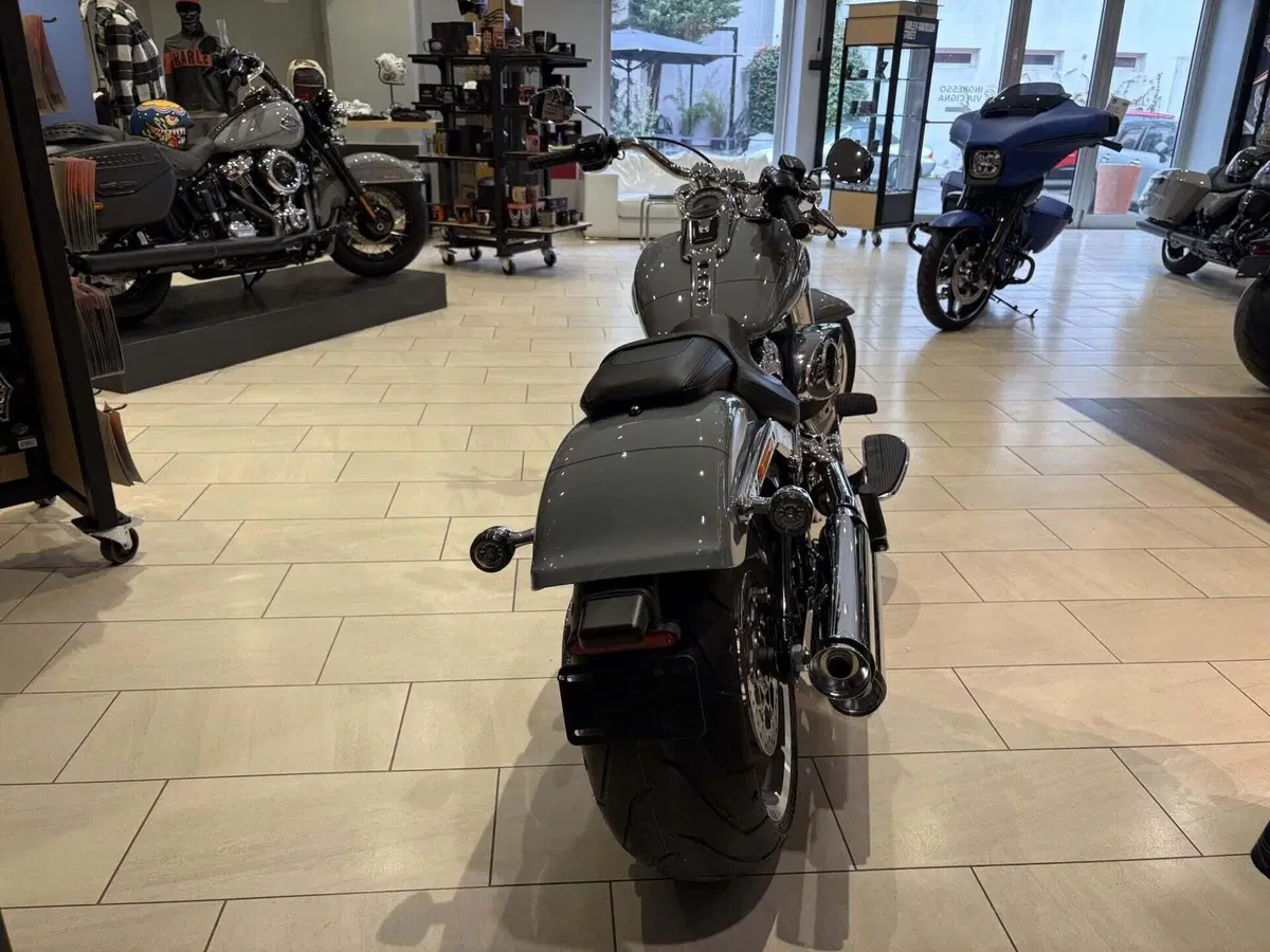 Harley-Davidson Fat Boy 117 (2025 - 26) (4)