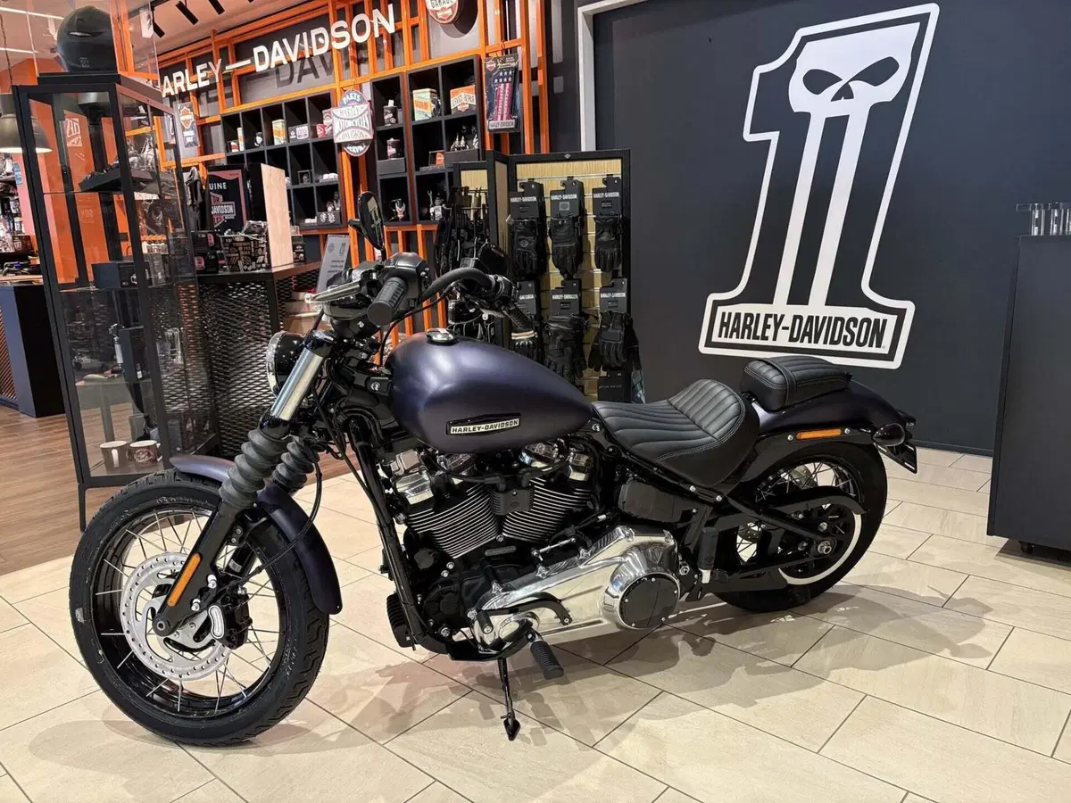 Harley-Davidson Street Bob 117 (2025 - 26) (4)