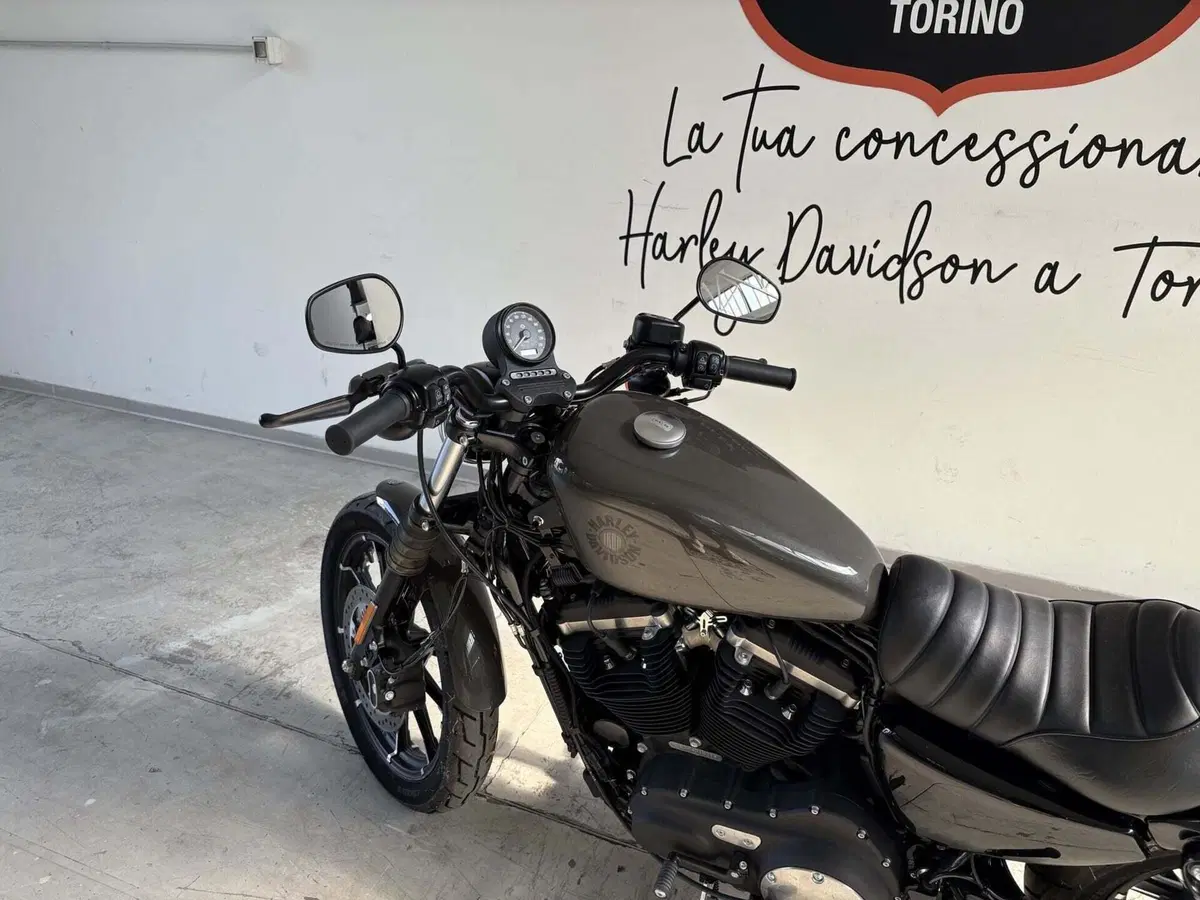 Harley-Davidson 883 Iron (2017 - 20) - XL 883N (4)
