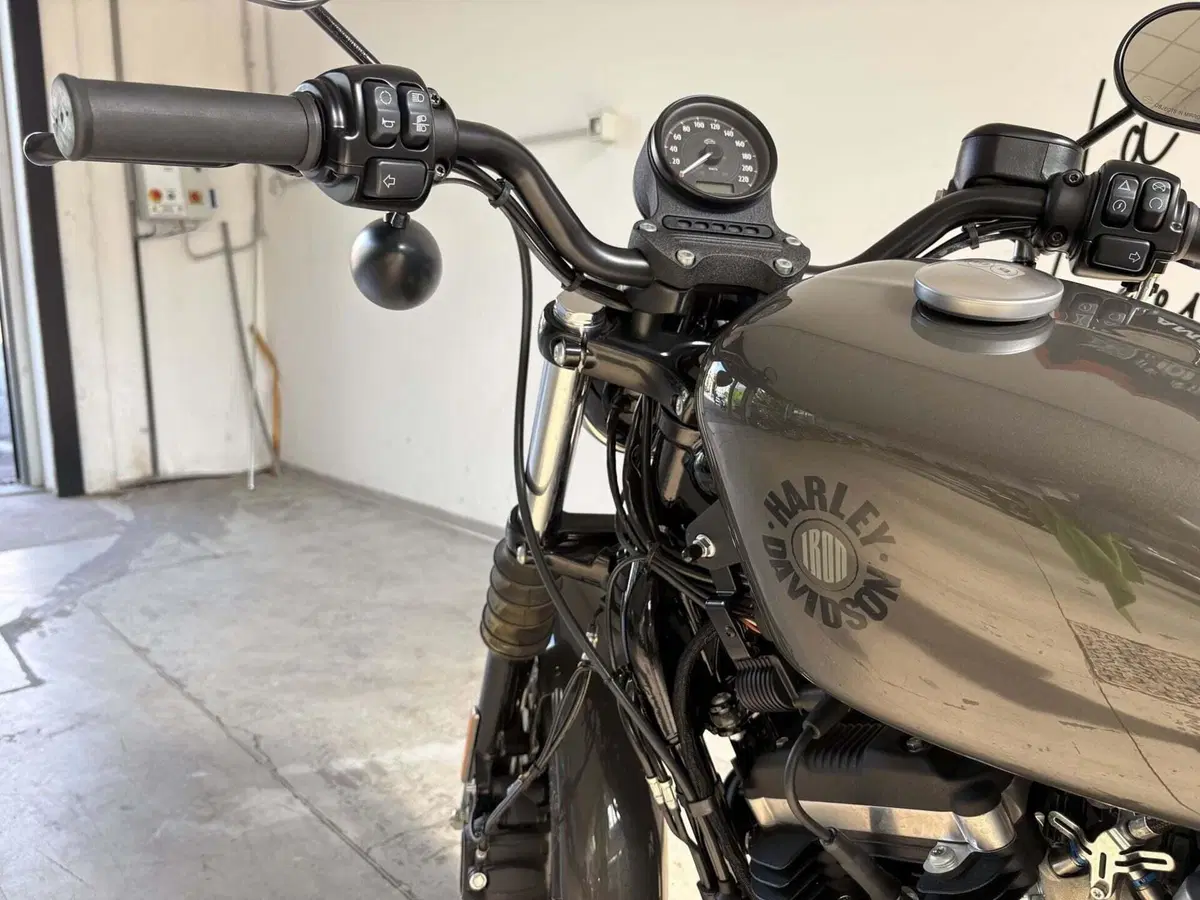 Harley-Davidson 883 Iron (2017 - 20) - XL 883N (5)