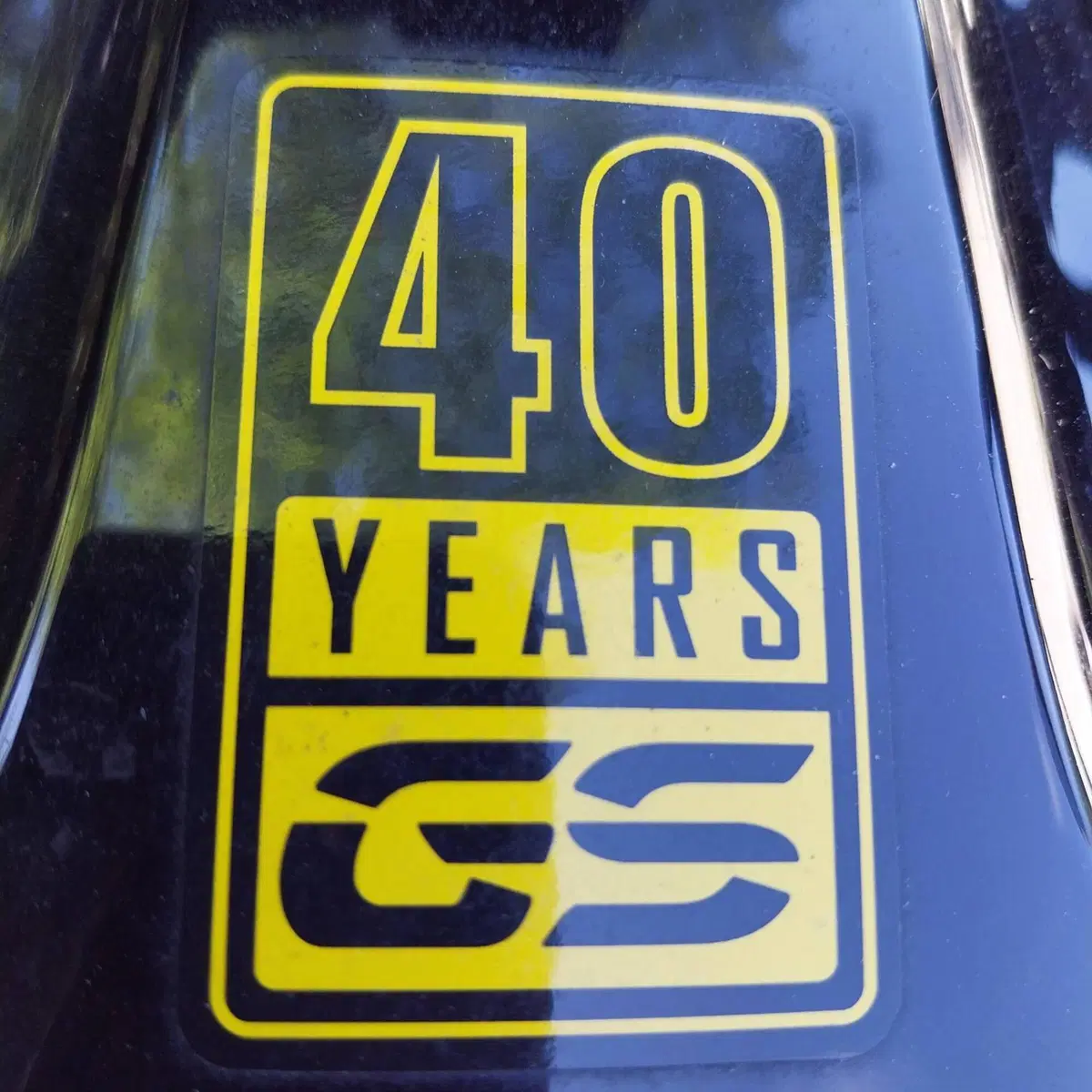 Bmw G 310 GS Edition 40 Years GS (2021) (6)