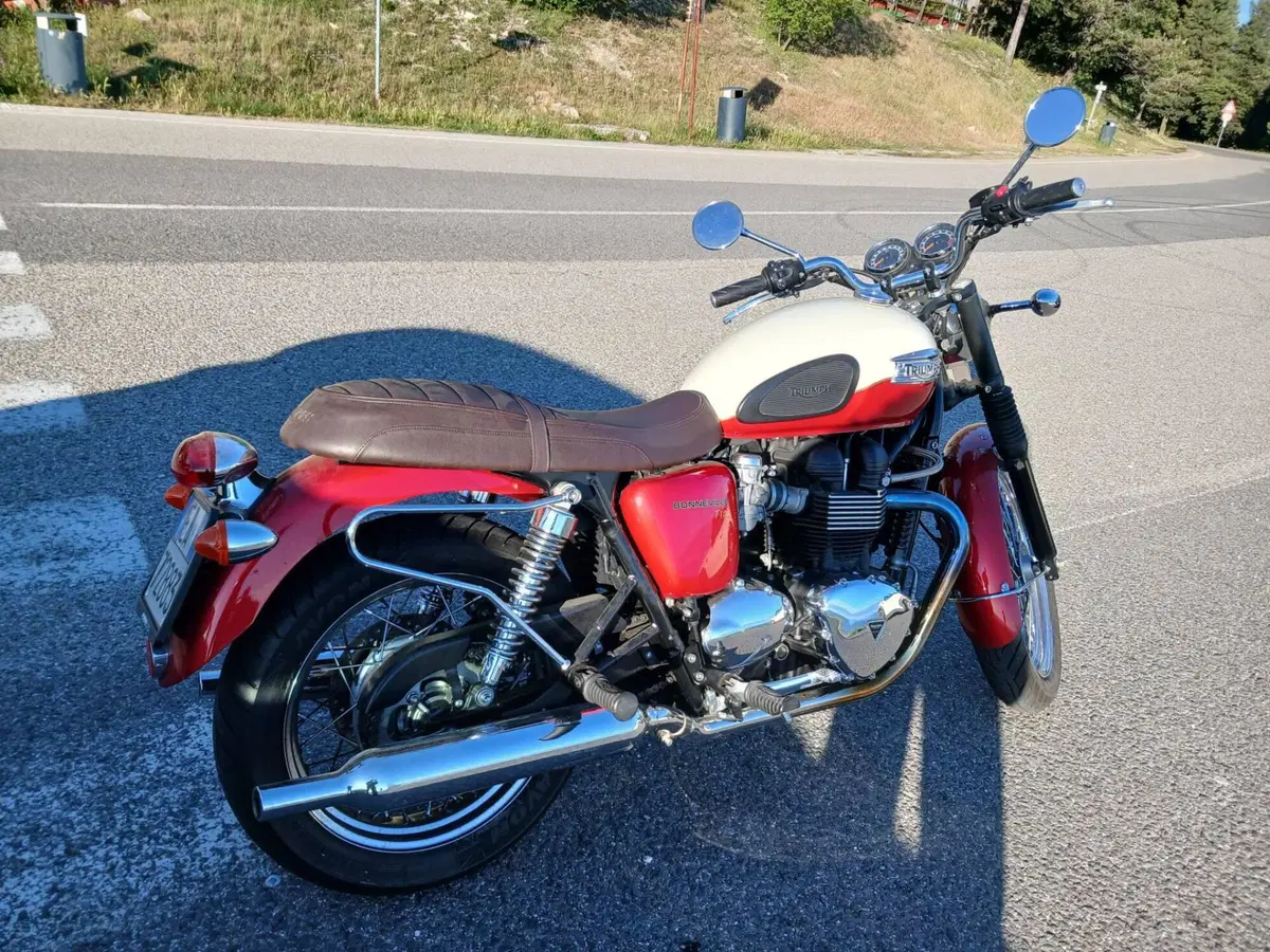 Triumph Bonneville T100 (2008 - 16) (3)