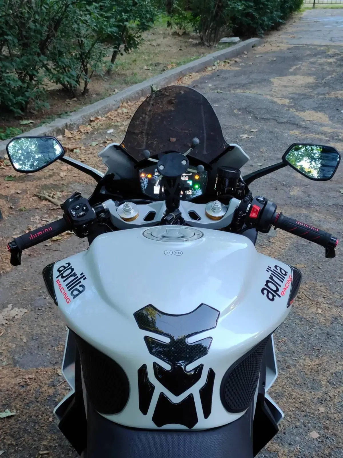 Aprilia RS 660 Extrema (2023 - 24) (4)