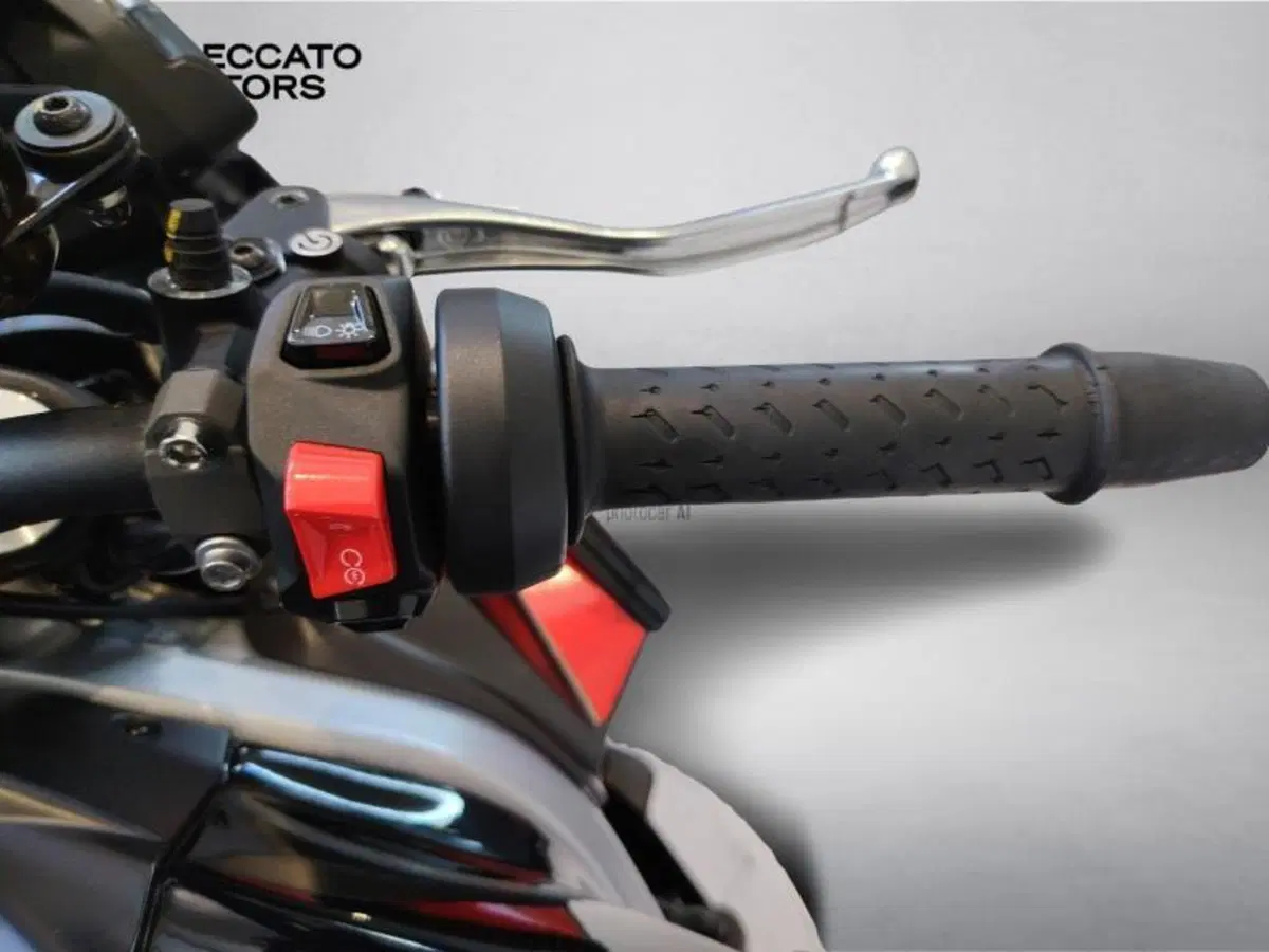 Aprilia Tuono 660 Factory (2022 - 24) (12)