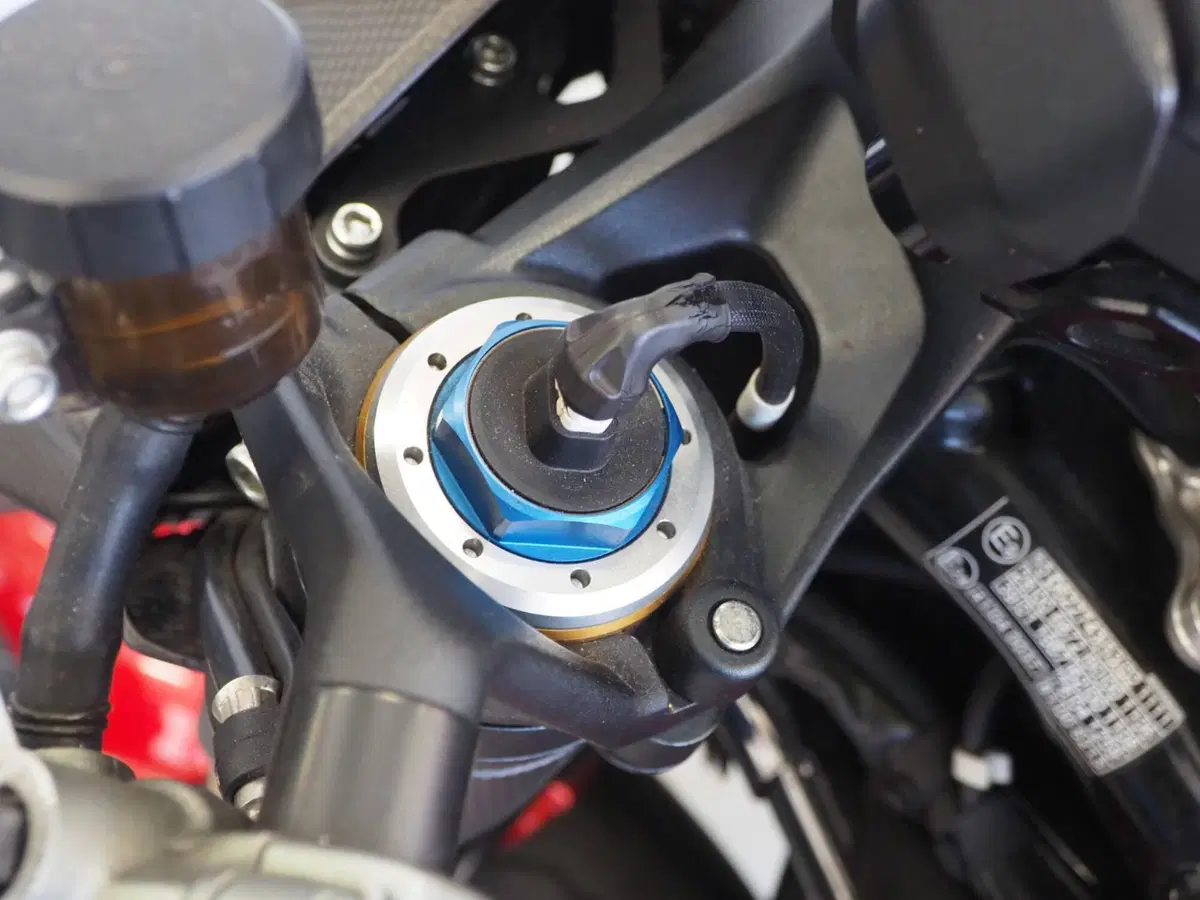 MV Agusta Brutale 1000 RR (2021 - 25) (12)