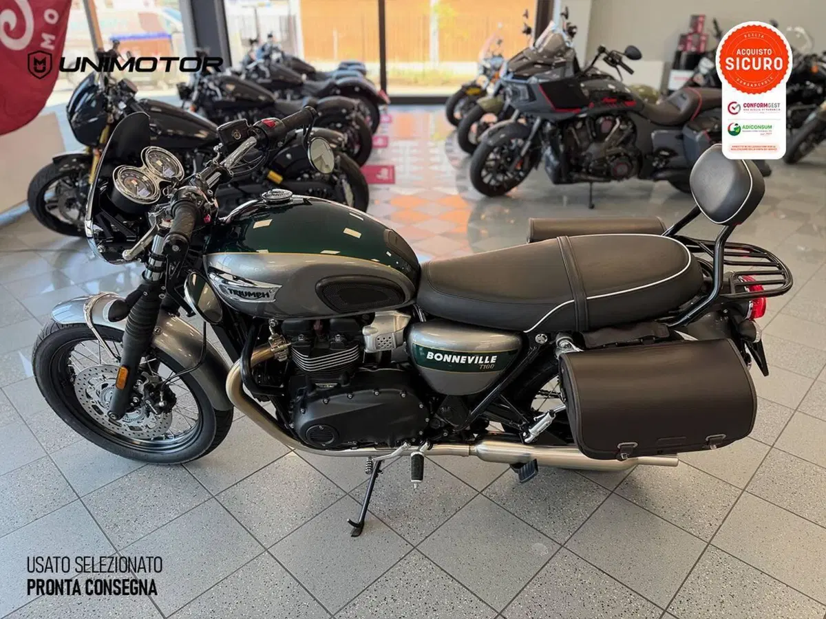 Triumph Bonneville T100 Gold Line Edition (2022) (5)