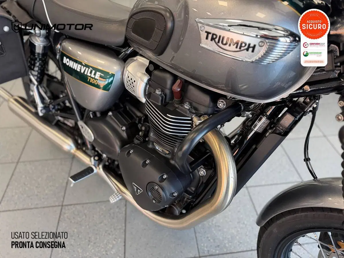 Triumph Bonneville T100 Gold Line Edition (2022) (7)