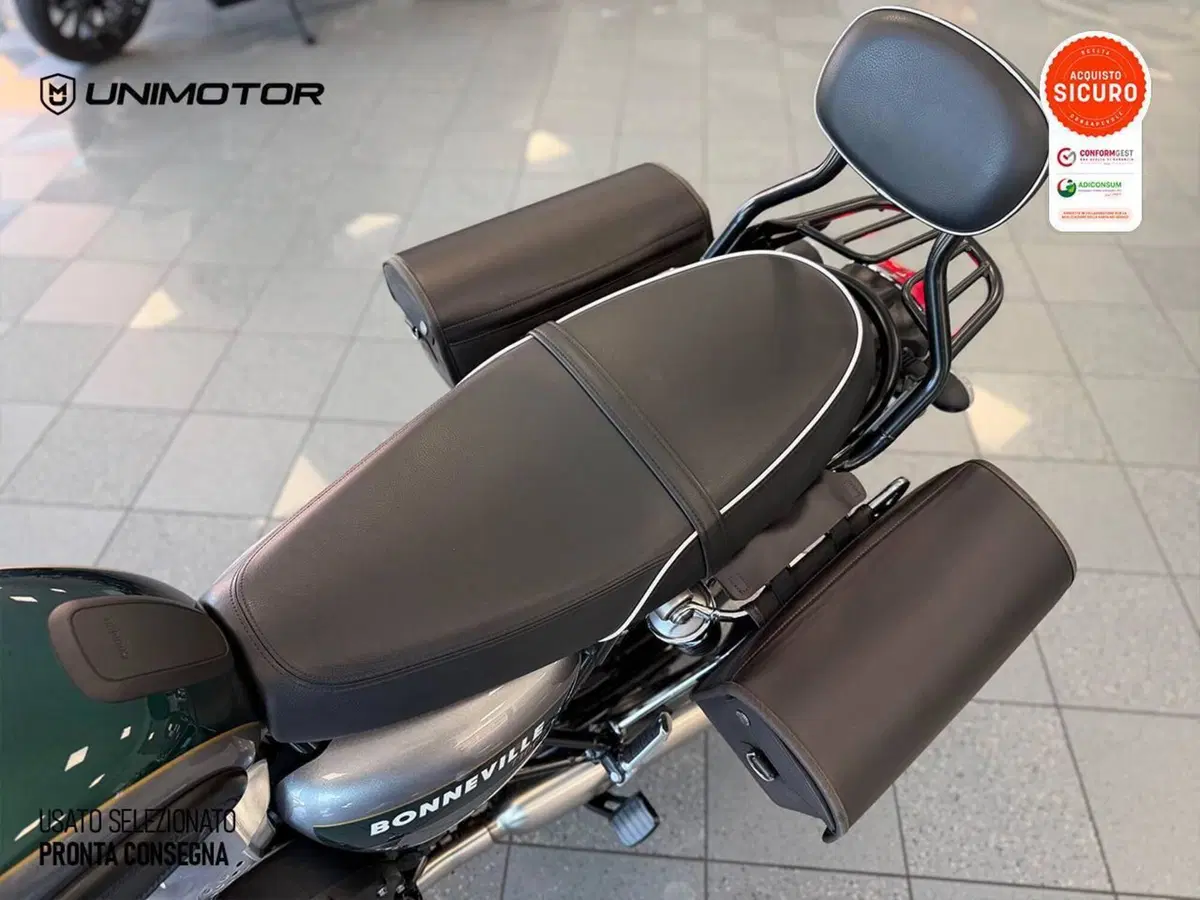 Triumph Bonneville T100 Gold Line Edition (2022) (11)
