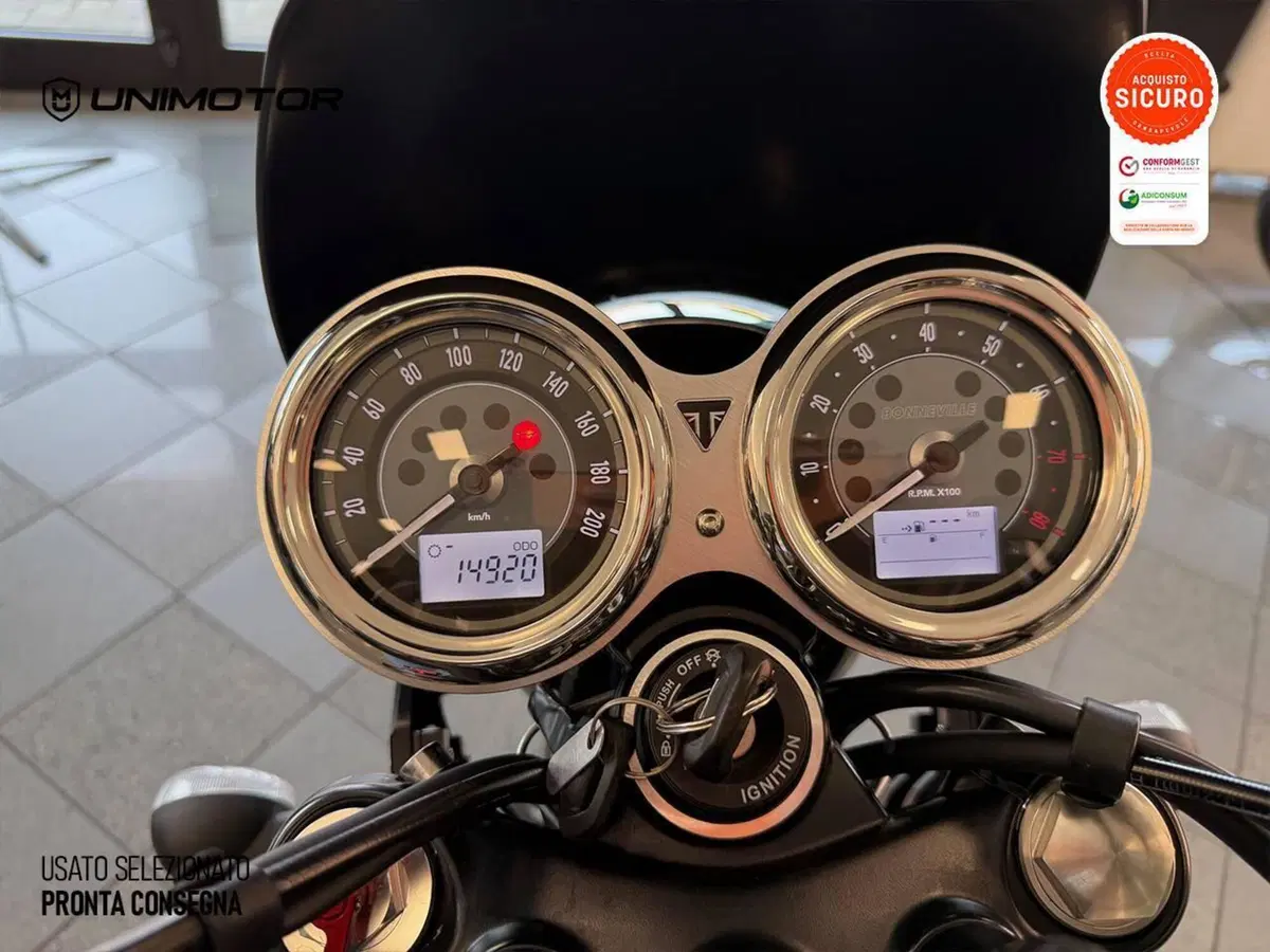 Triumph Bonneville T100 Gold Line Edition (2022) (12)