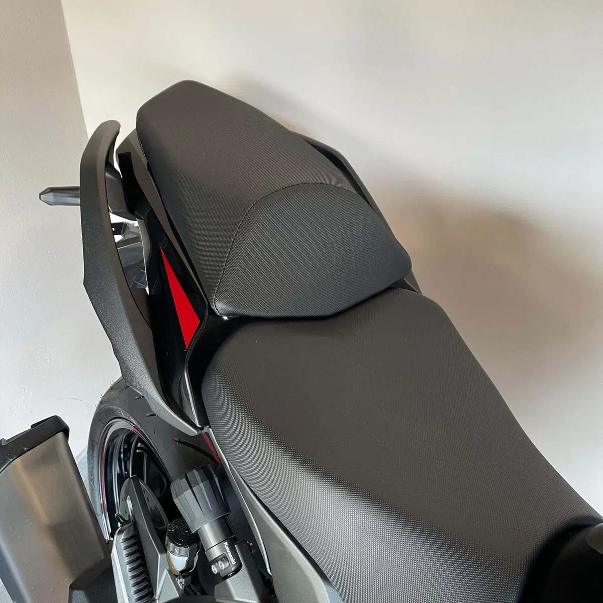 Kawasaki Ninja 1000 SX (2021 - 24) (6)