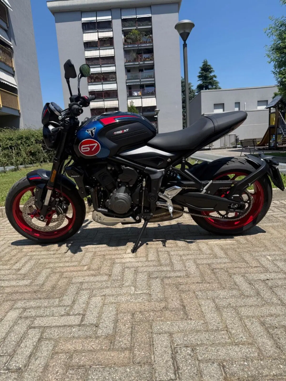 Triumph Trident 660 Triple Tribute Edition (2025 - 26) (2)