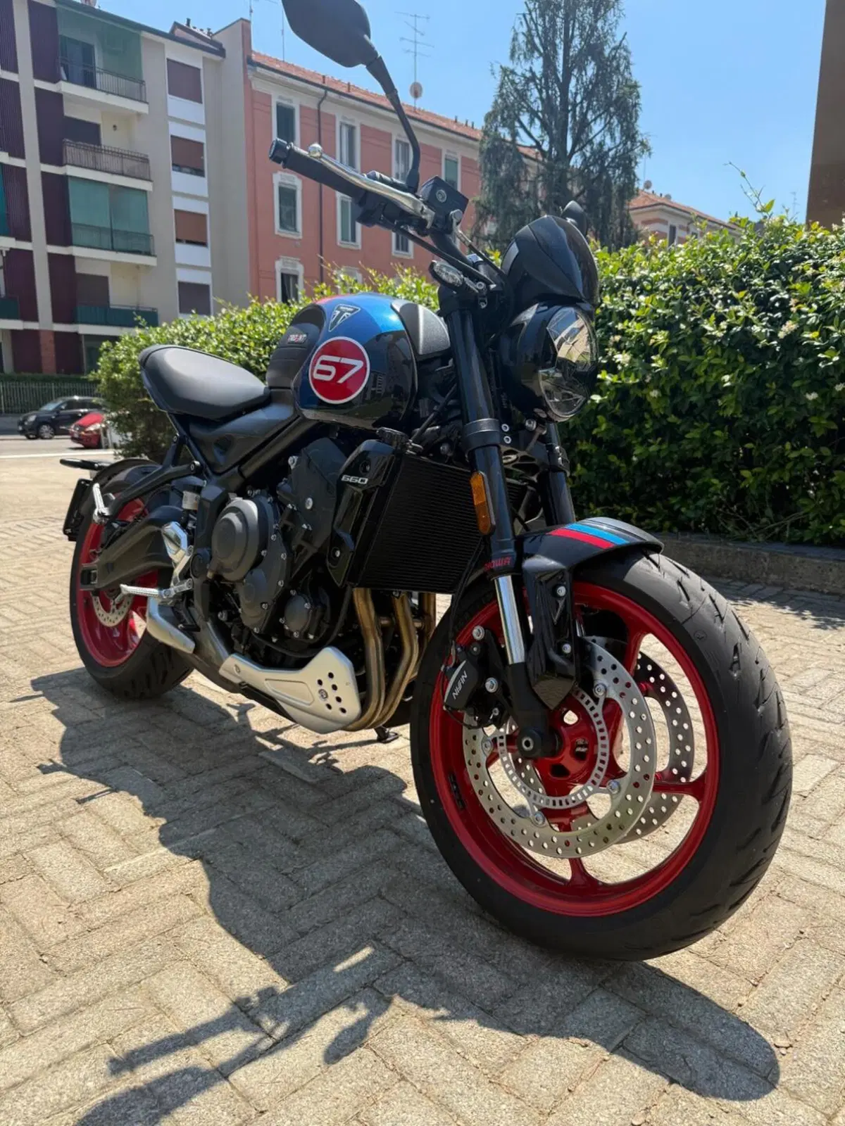 Triumph Trident 660 Triple Tribute Edition (2025 - 26) (3)