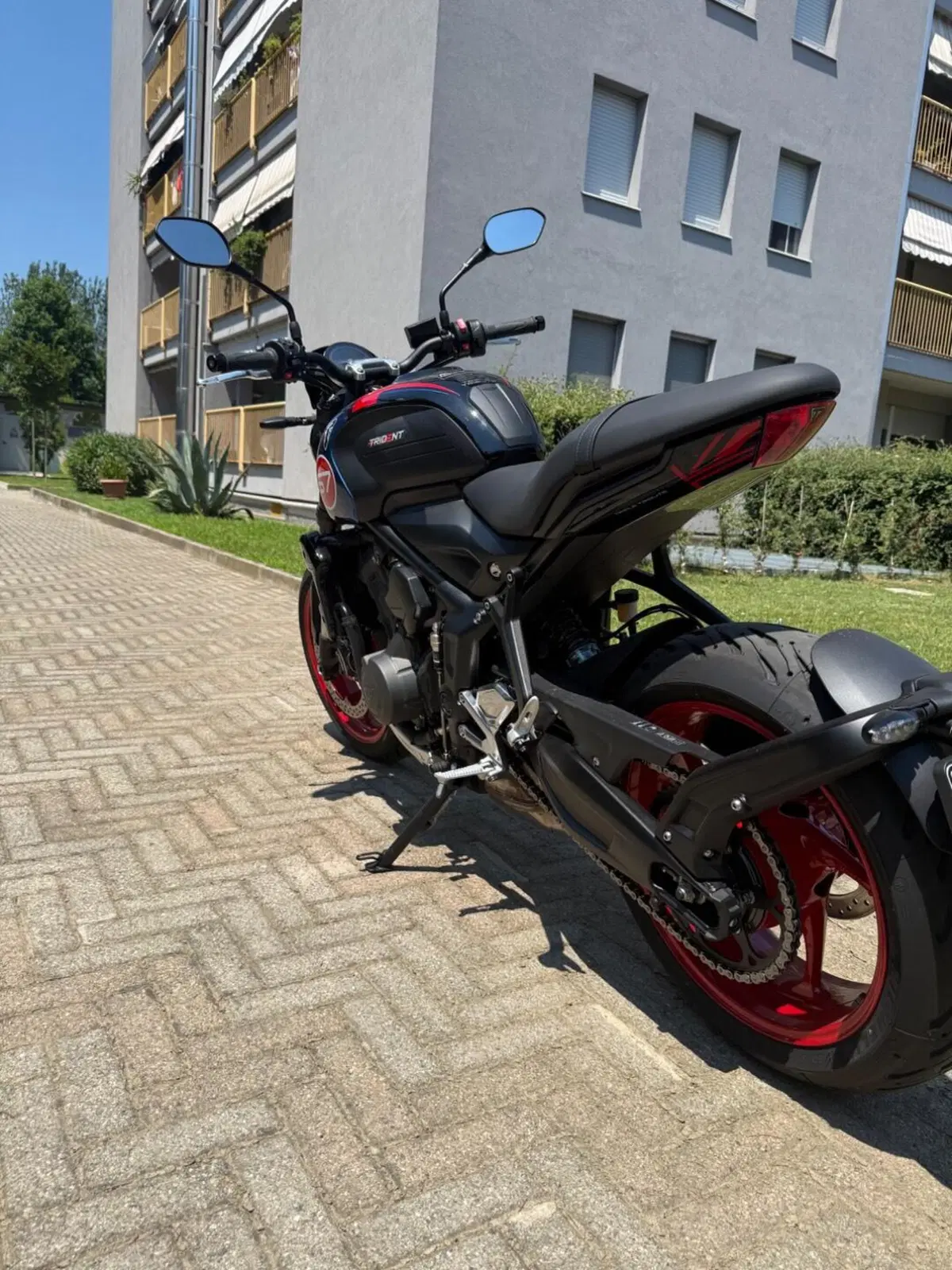 Triumph Trident 660 Triple Tribute Edition (2025 - 26) (6)