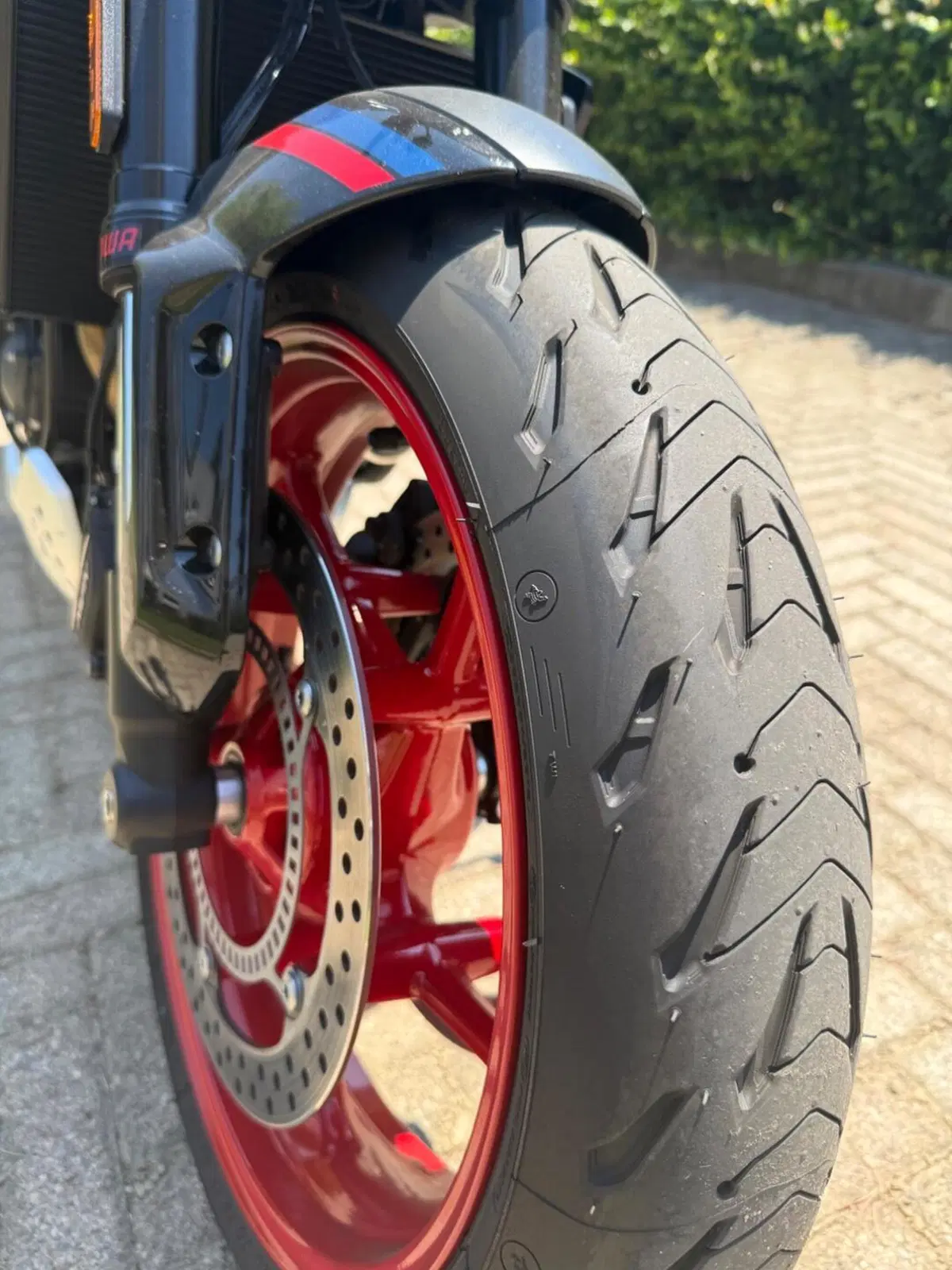 Triumph Trident 660 Triple Tribute Edition (2025 - 26) (8)