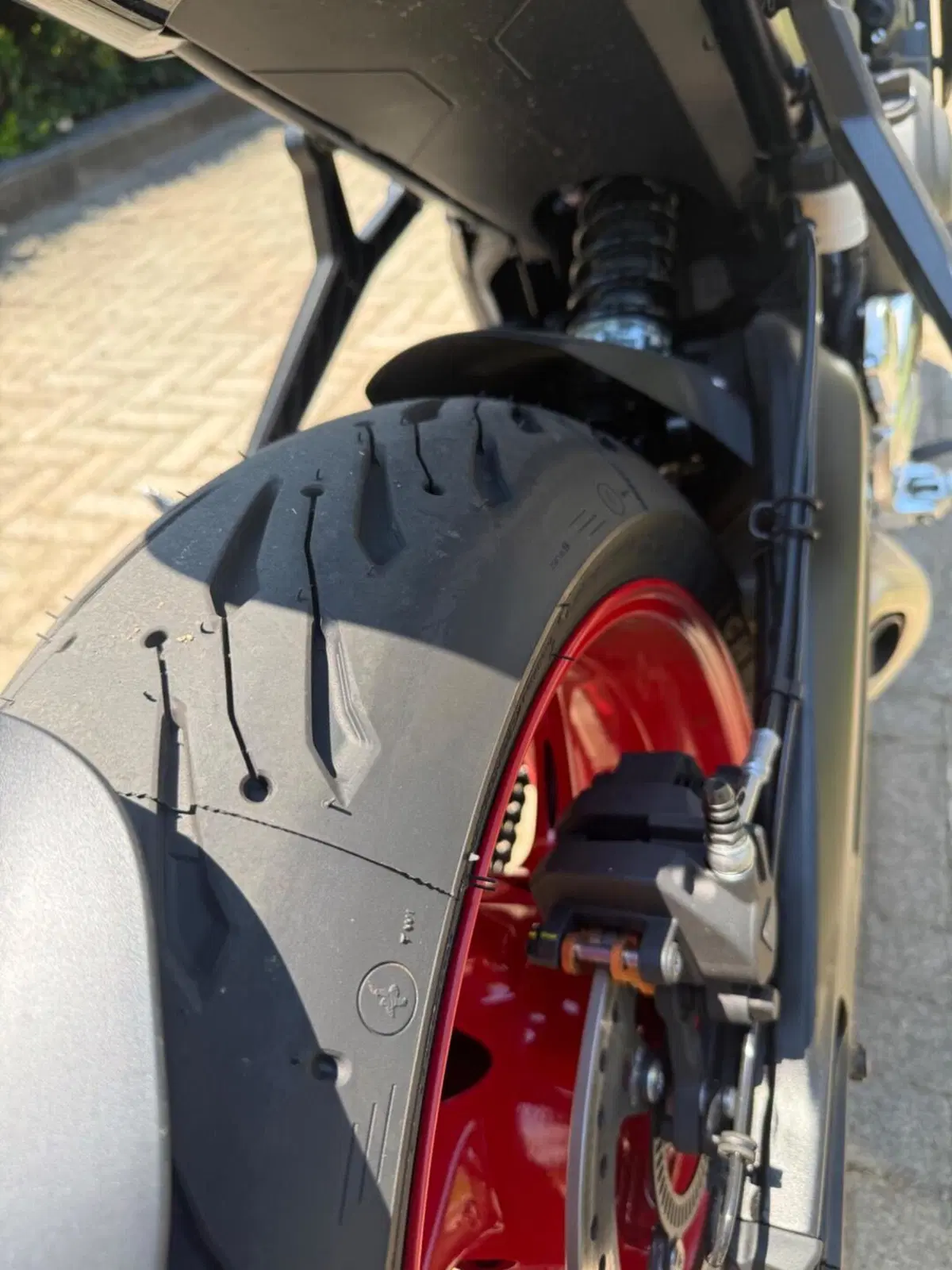 Triumph Trident 660 Triple Tribute Edition (2025 - 26) (9)
