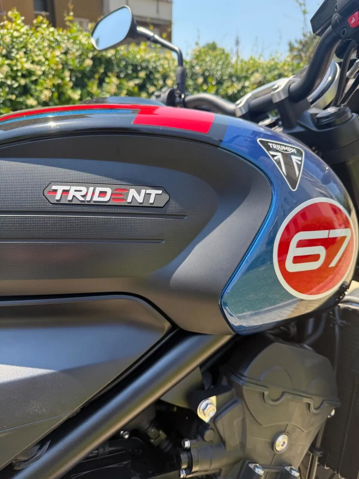 Triumph Trident 660 Triple Tribute Edition (2025 - 26) (12)