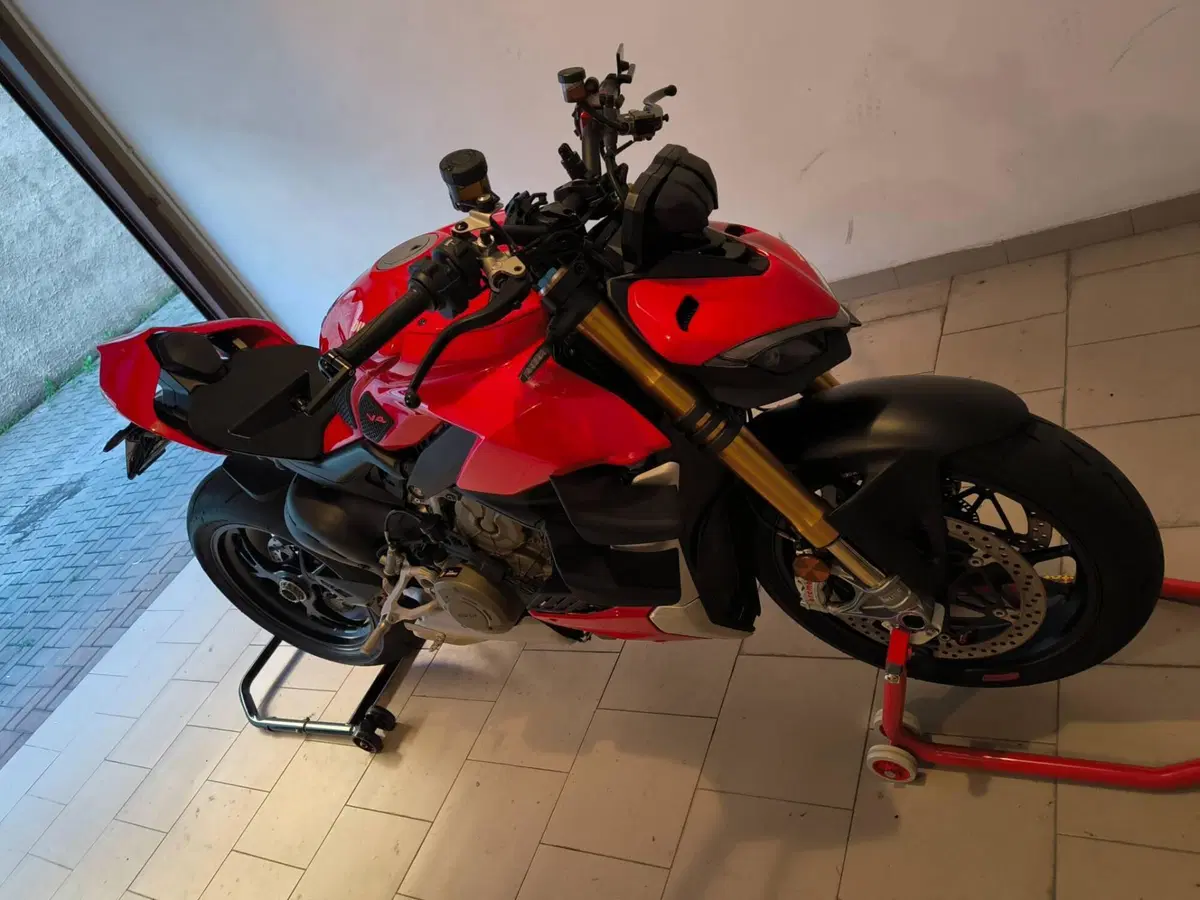 Ducati Streetfighter V4 1100 S (2020) (8)