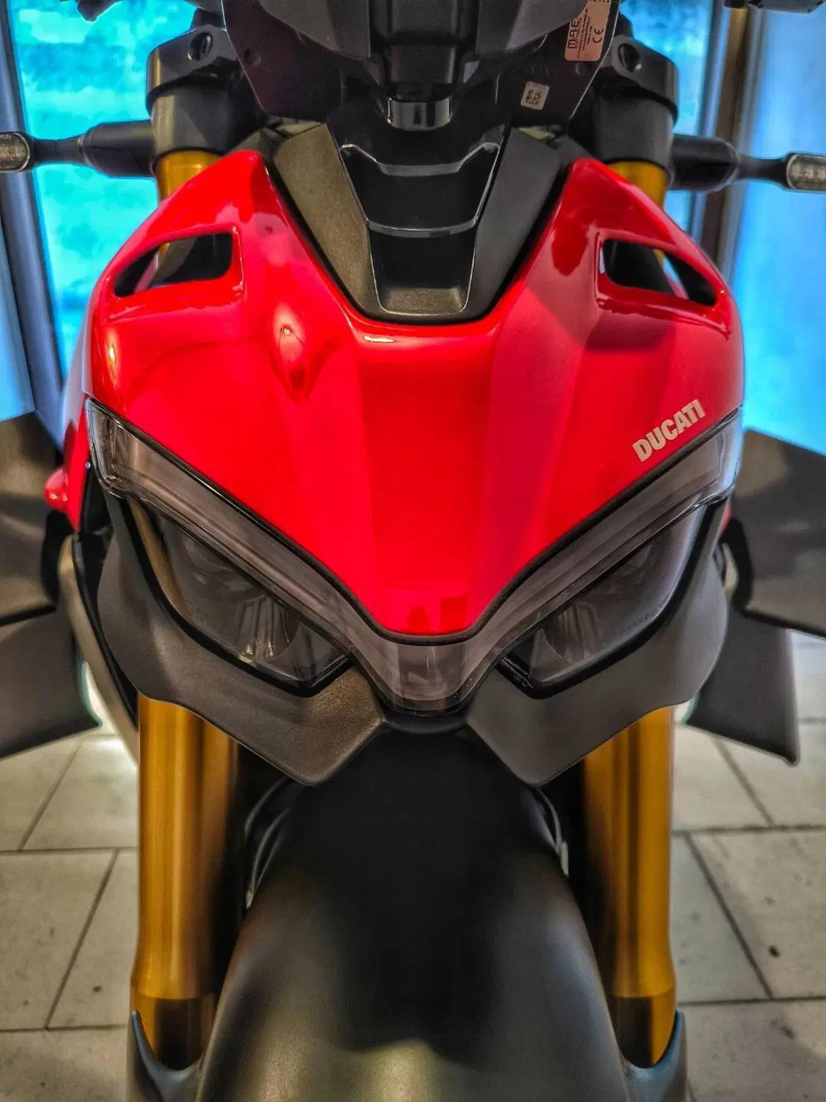 Ducati Streetfighter V4 1100 S (2020) (9)