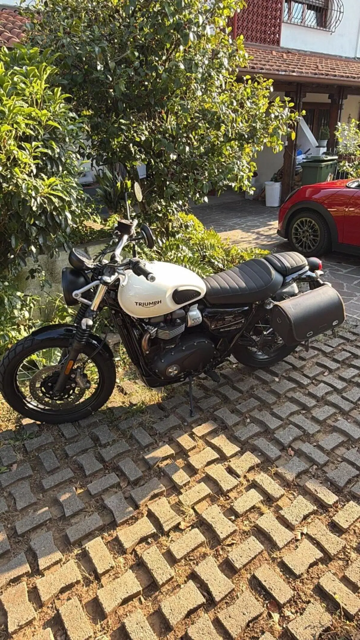 Triumph Street Scrambler 900 (2021 - 22)