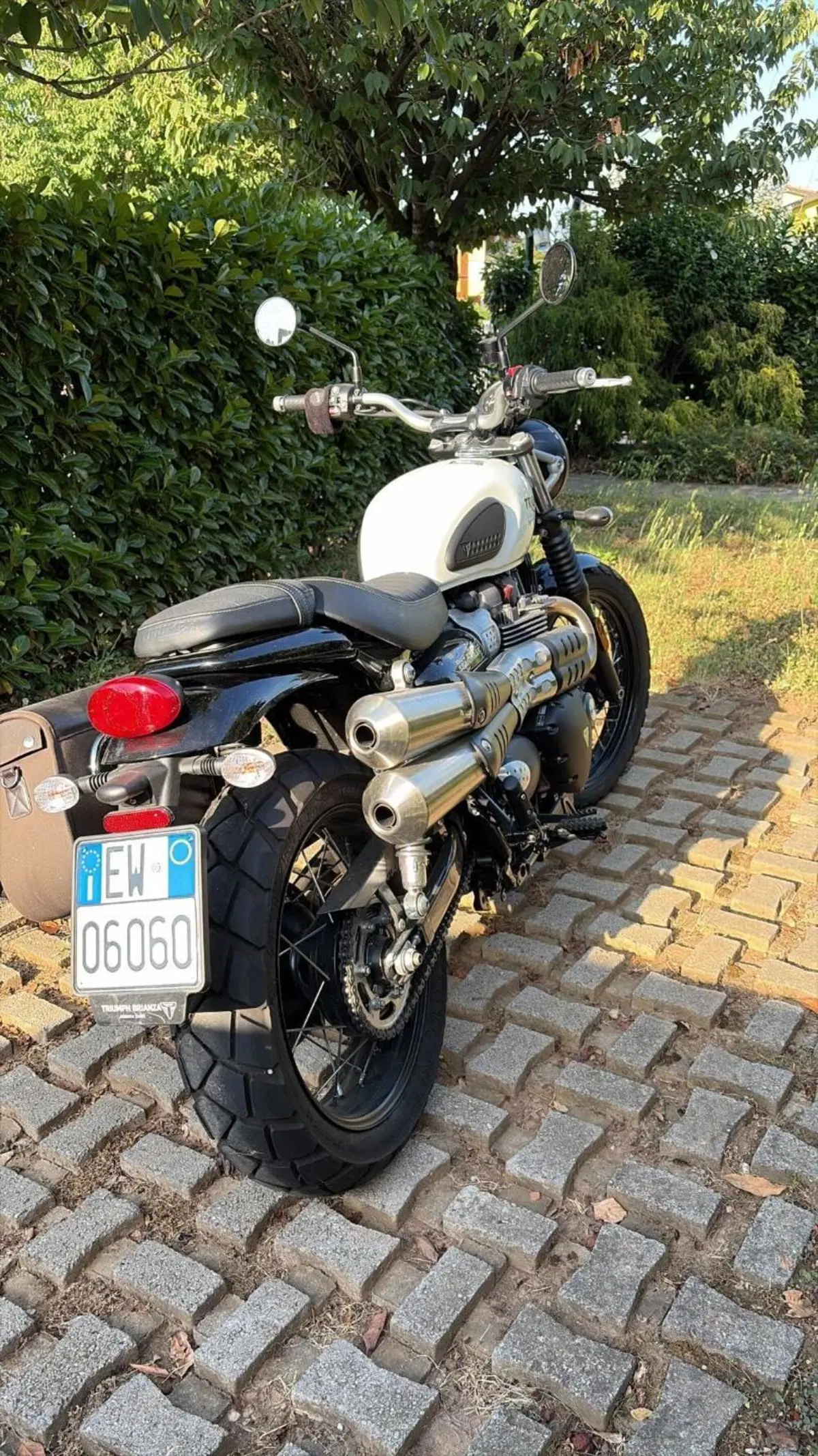 Triumph Street Scrambler 900 (2021 - 22) (2)