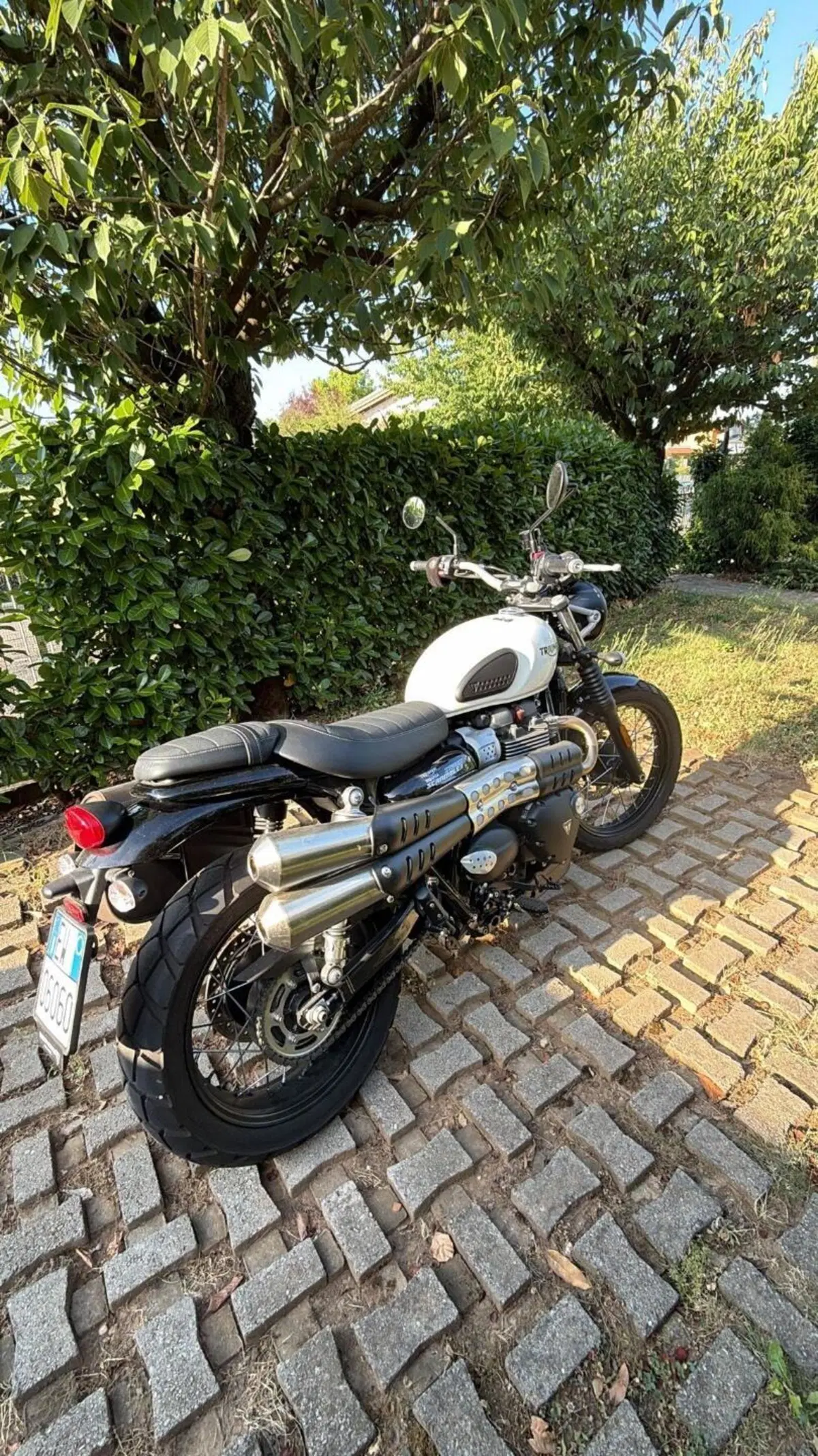 Triumph Street Scrambler 900 (2021 - 22) (3)