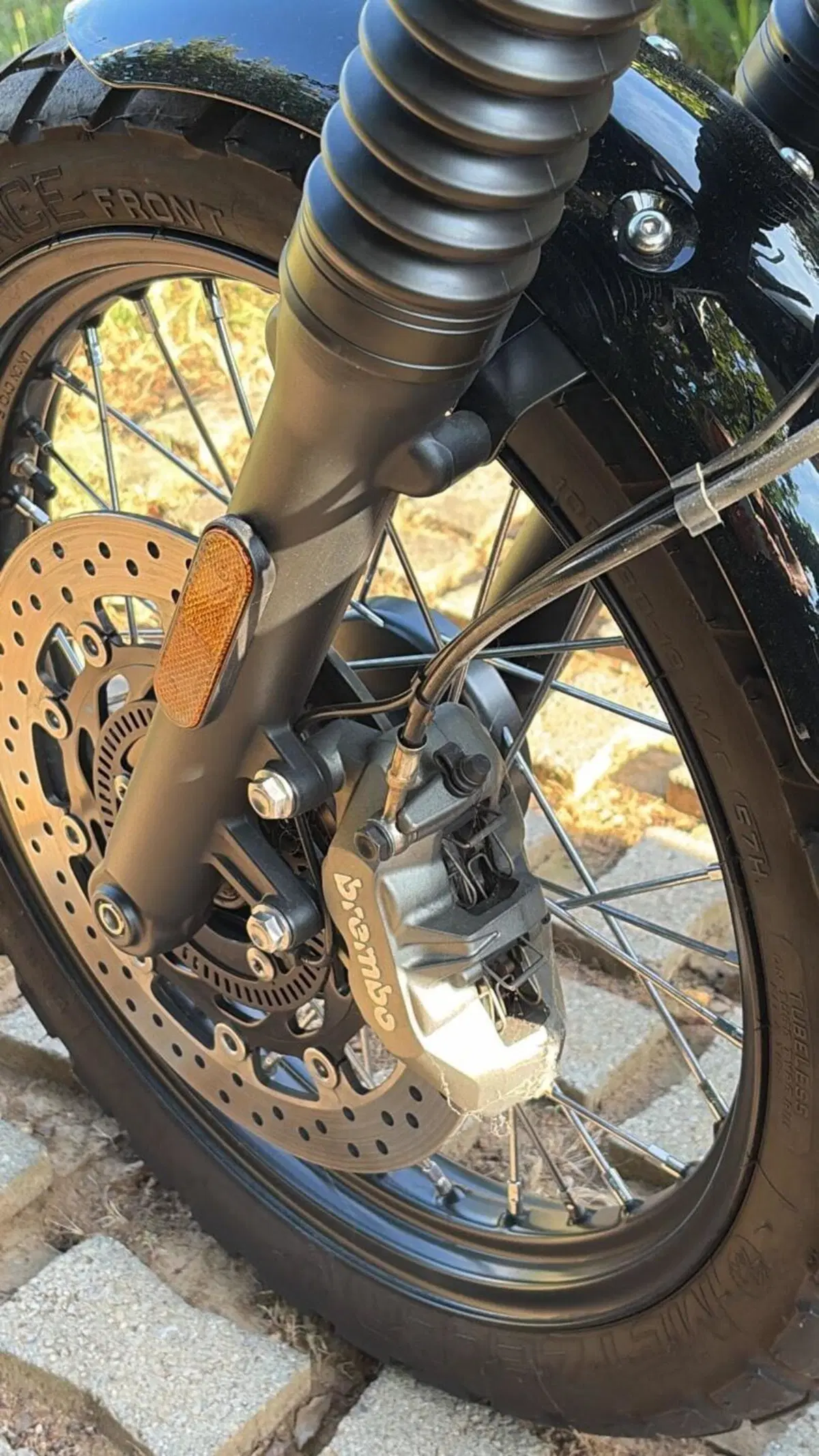 Triumph Street Scrambler 900 (2021 - 22) (4)