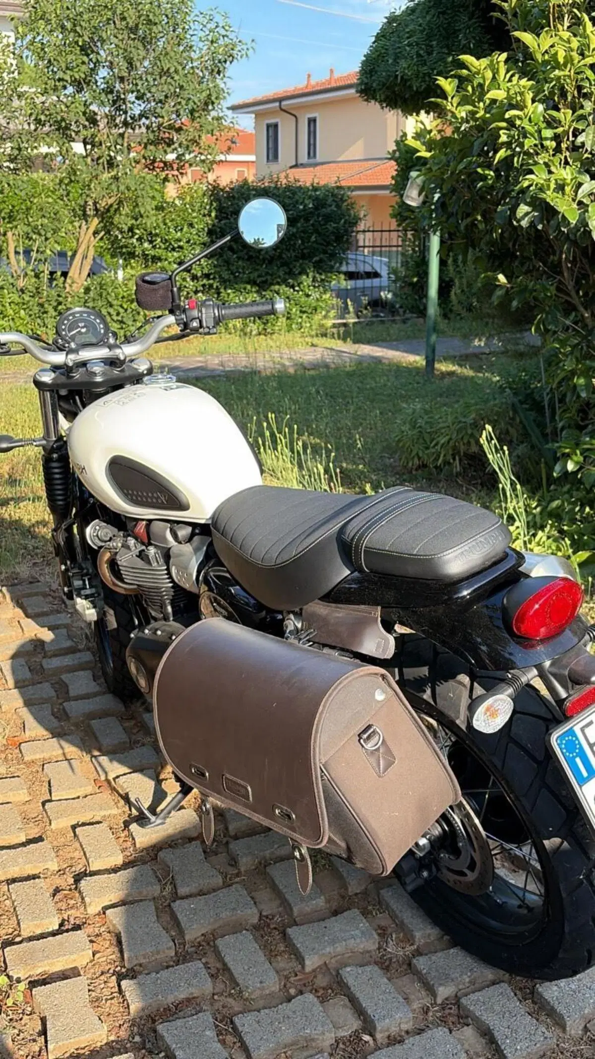 Triumph Street Scrambler 900 (2021 - 22) (6)