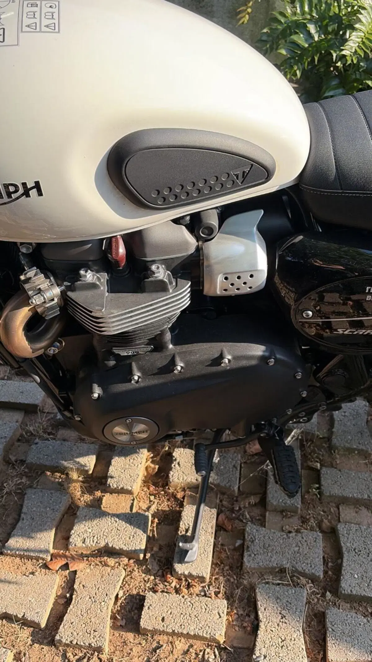 Triumph Street Scrambler 900 (2021 - 22) (9)