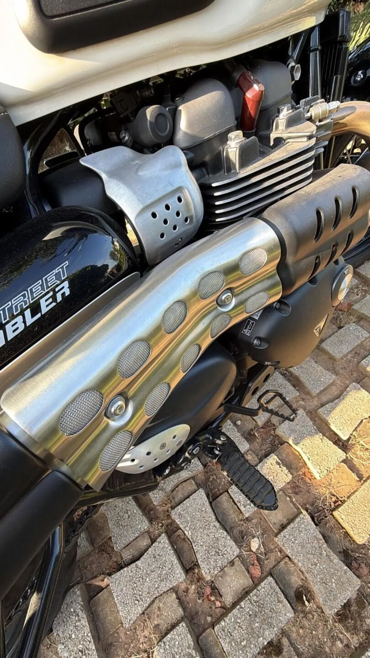 Triumph Street Scrambler 900 (2021 - 22) (10)