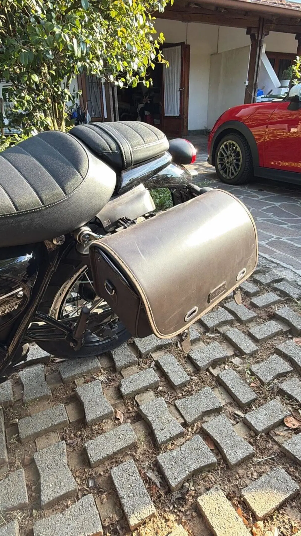 Triumph Street Scrambler 900 (2021 - 22) (11)